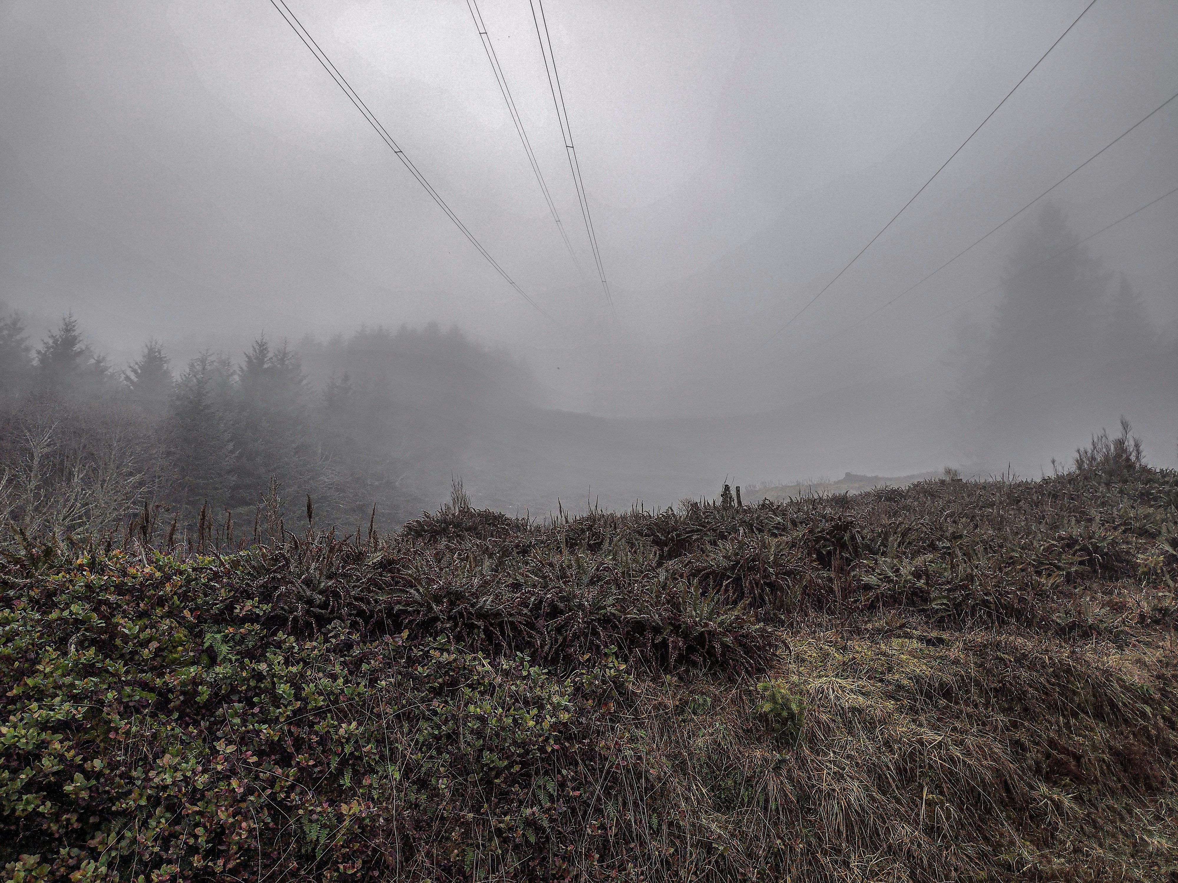 Photo by prphotography262