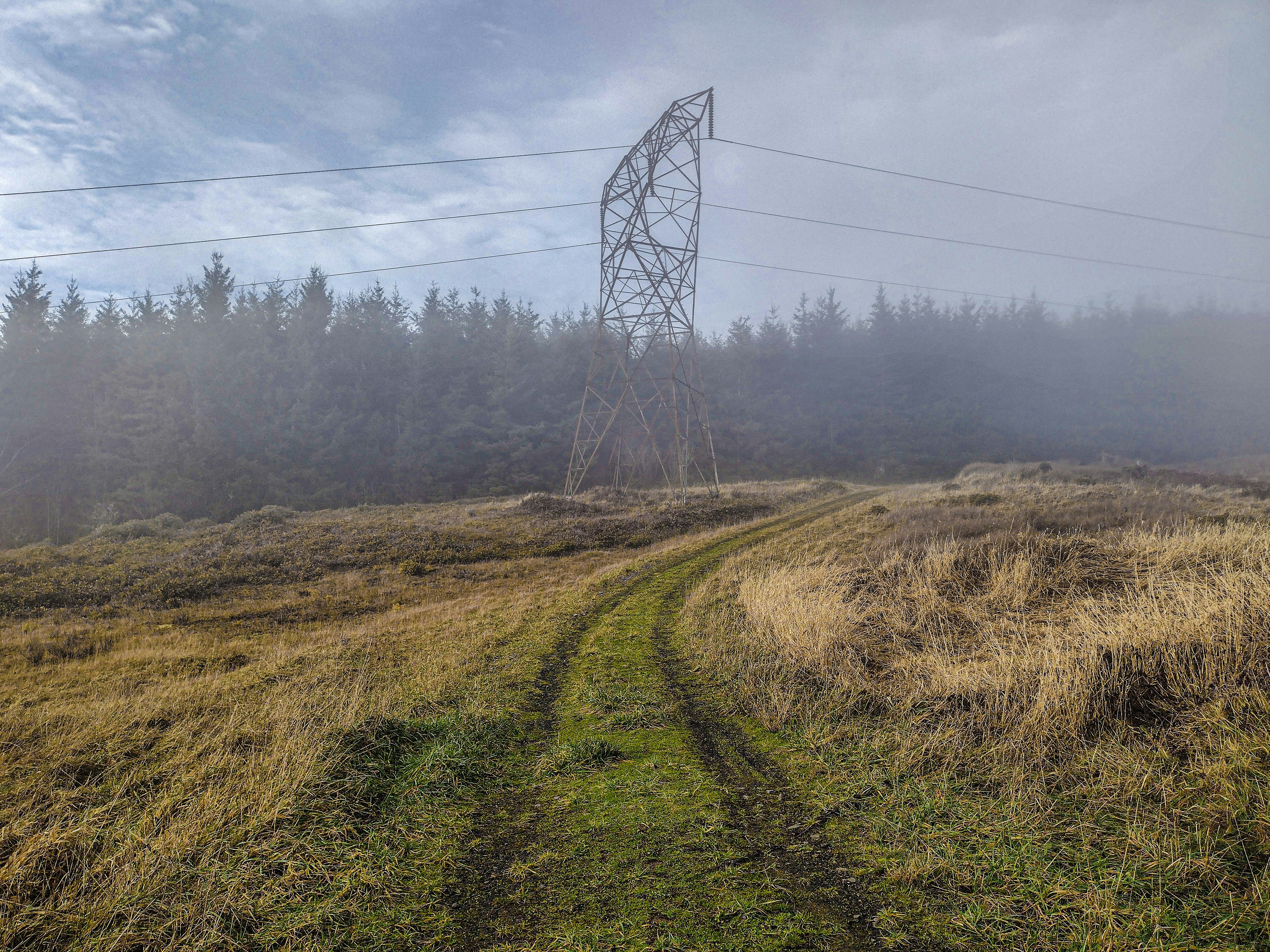 Photo by prphotography262