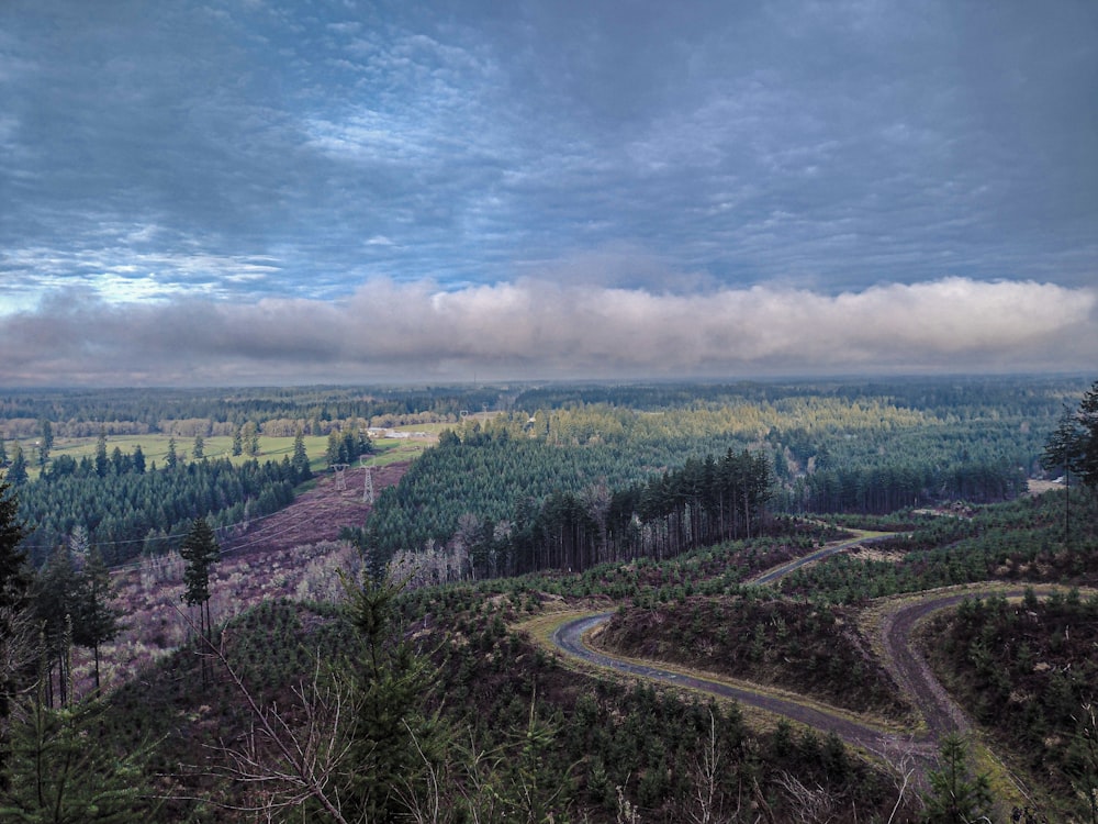 a road winding through a forest under a cloudy sky