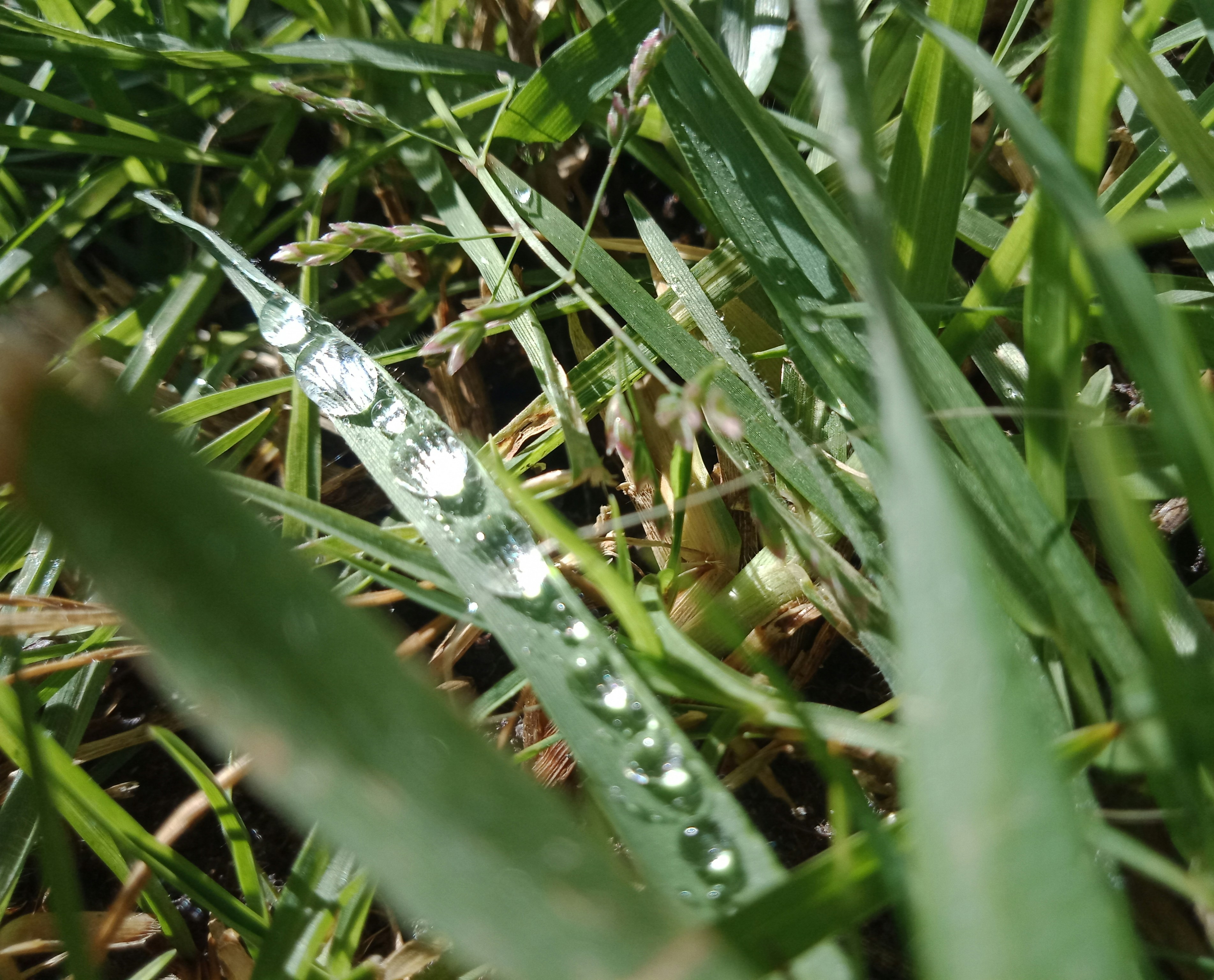 Photo by castingspells91_