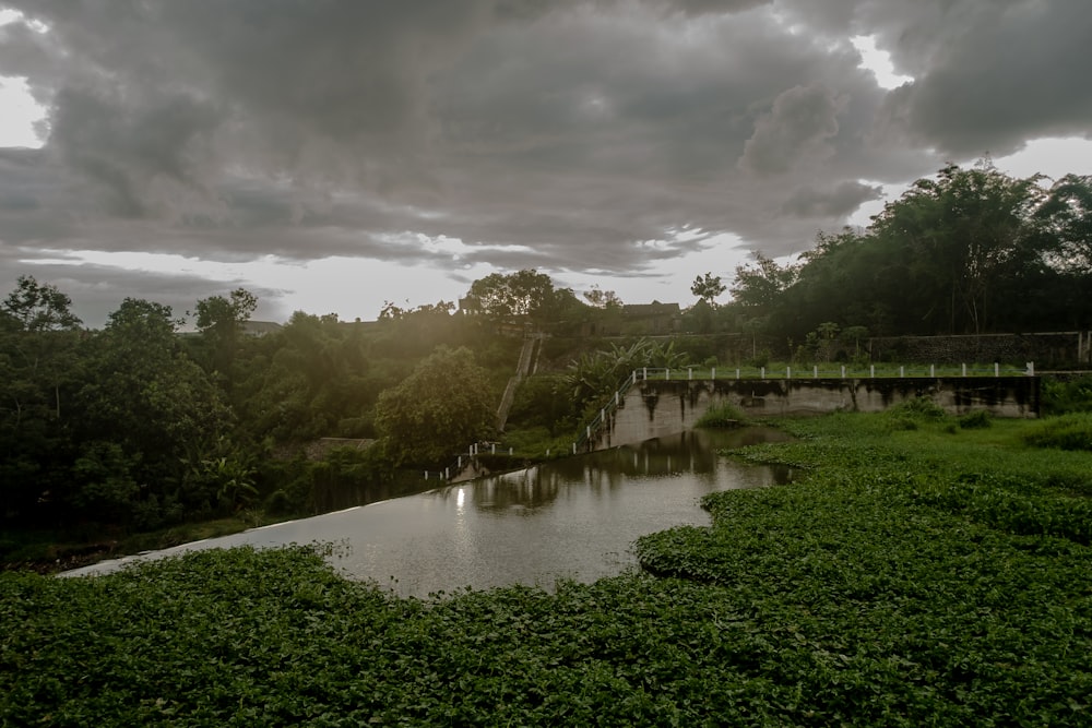 a river running through a lush green forest under a cloudy sky