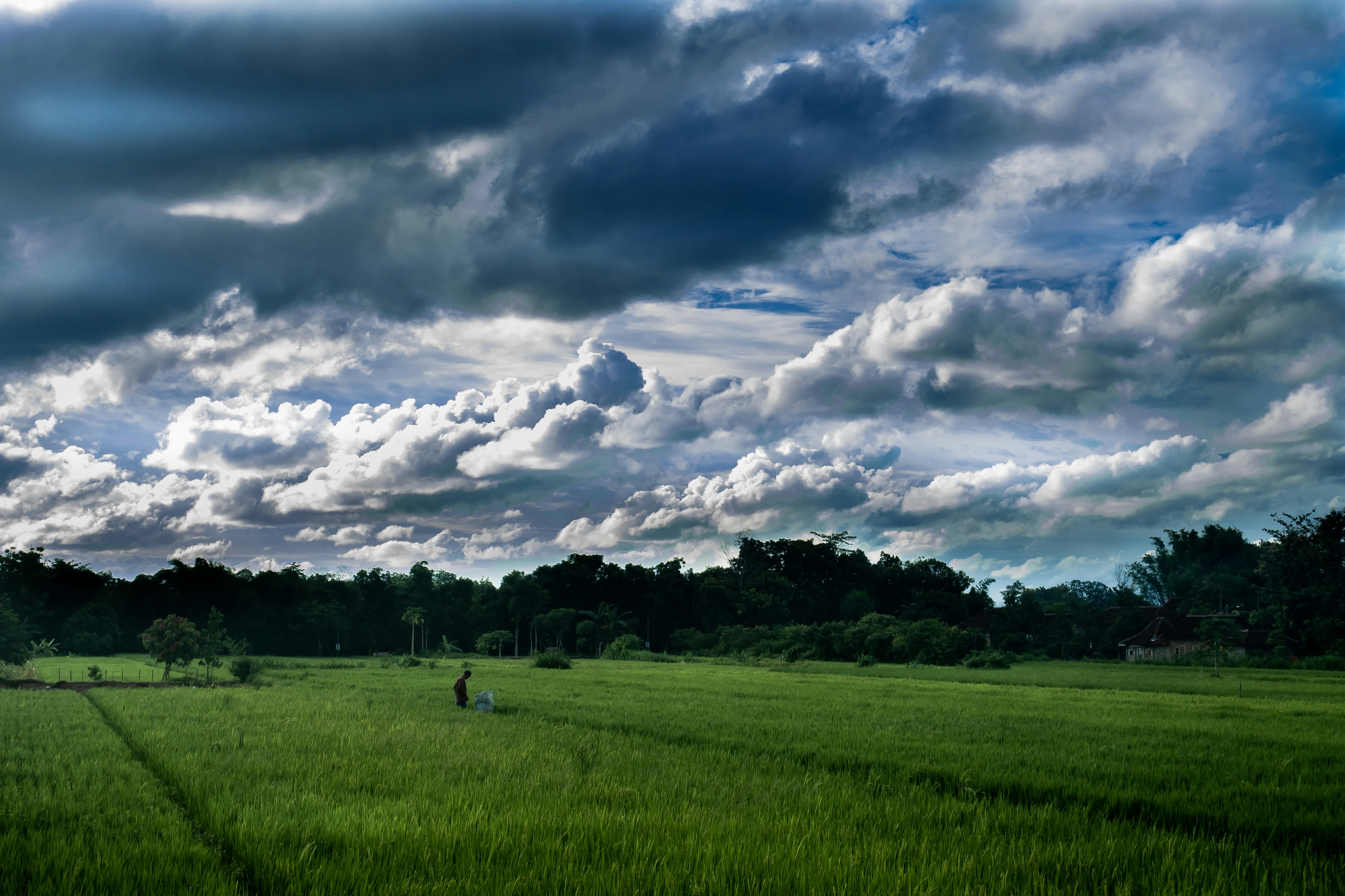 Photo by yosafatherdian