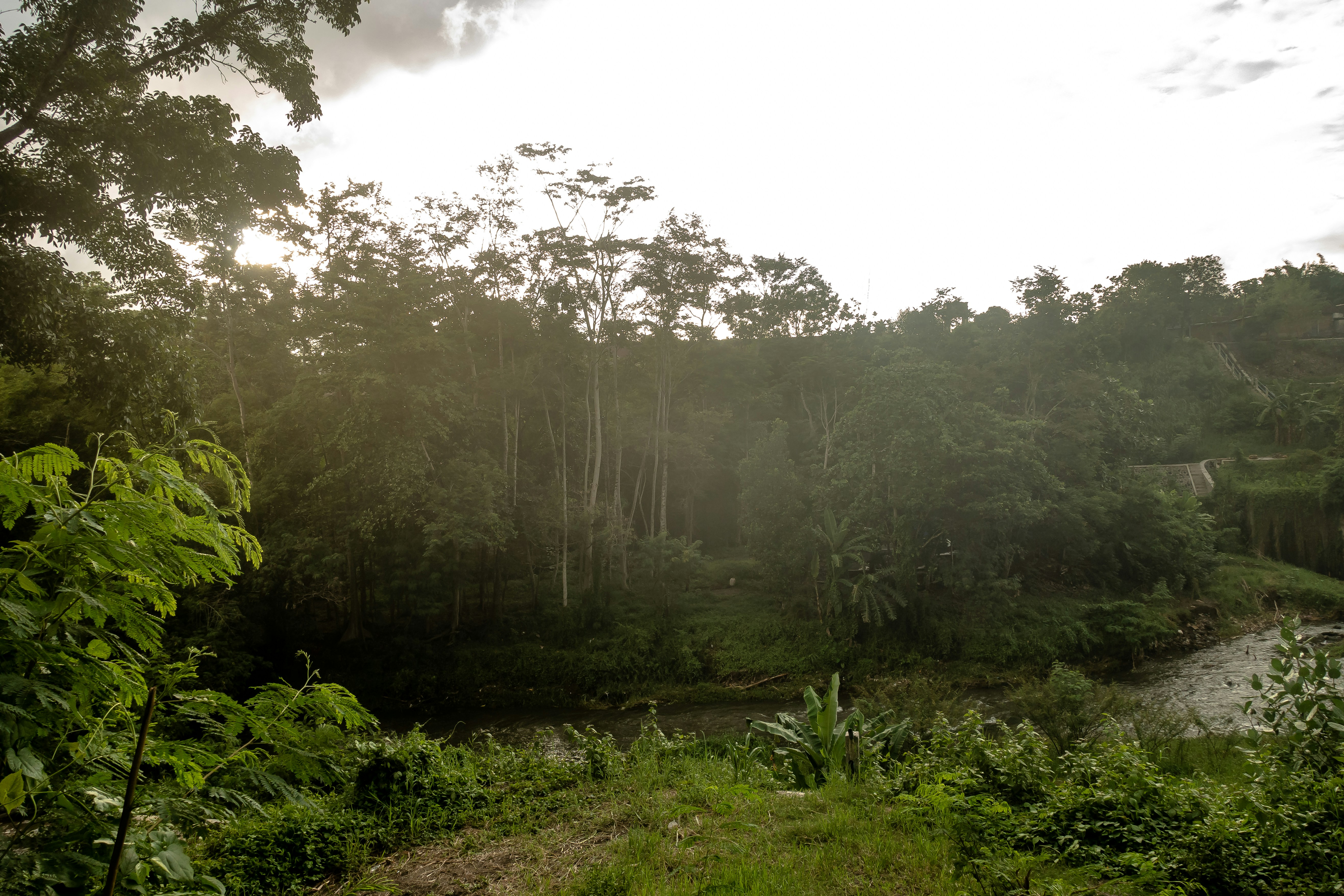 Photo by yosafatherdian