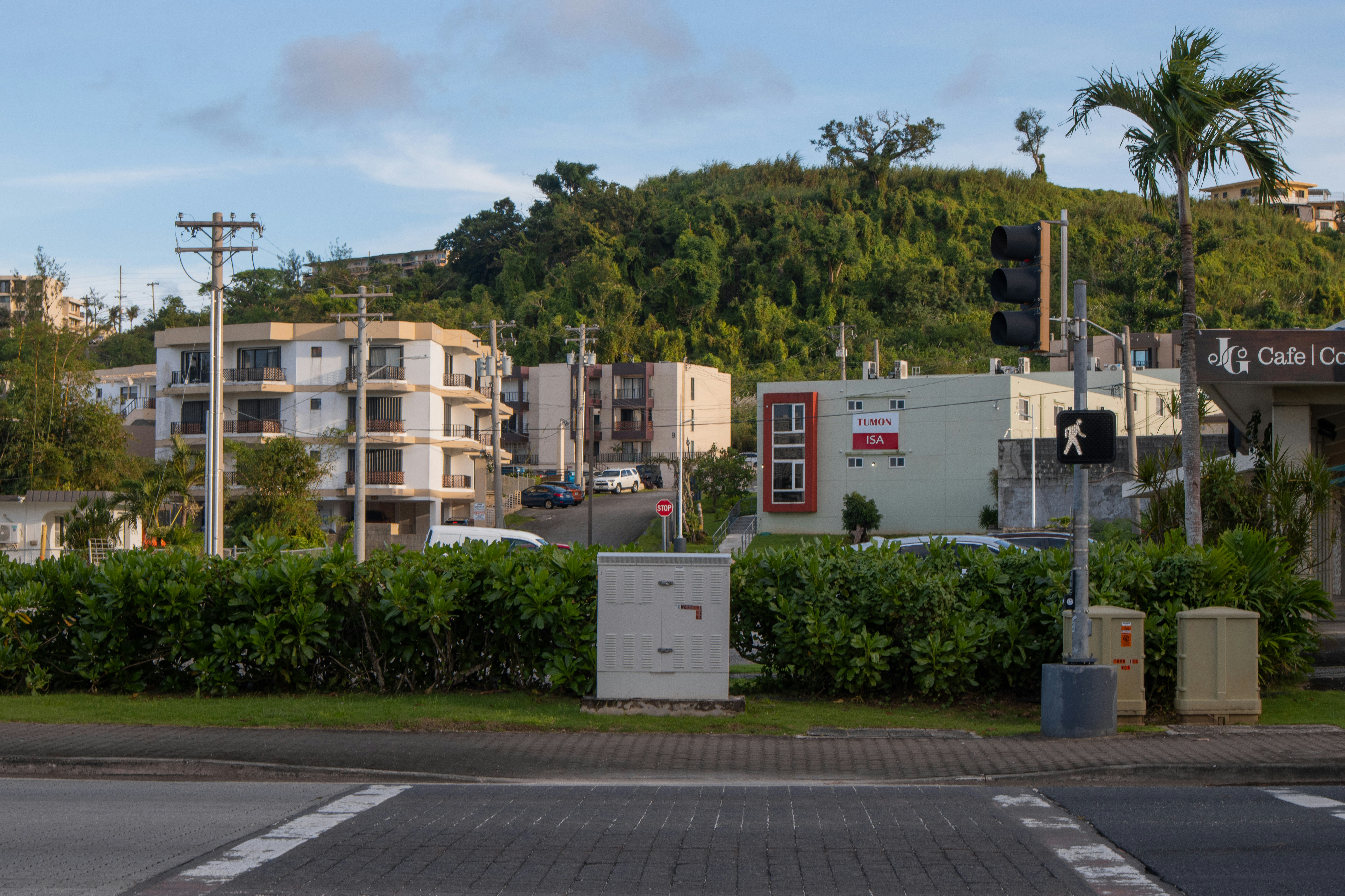 A typical urban street with a traffic light and a green hill in the background