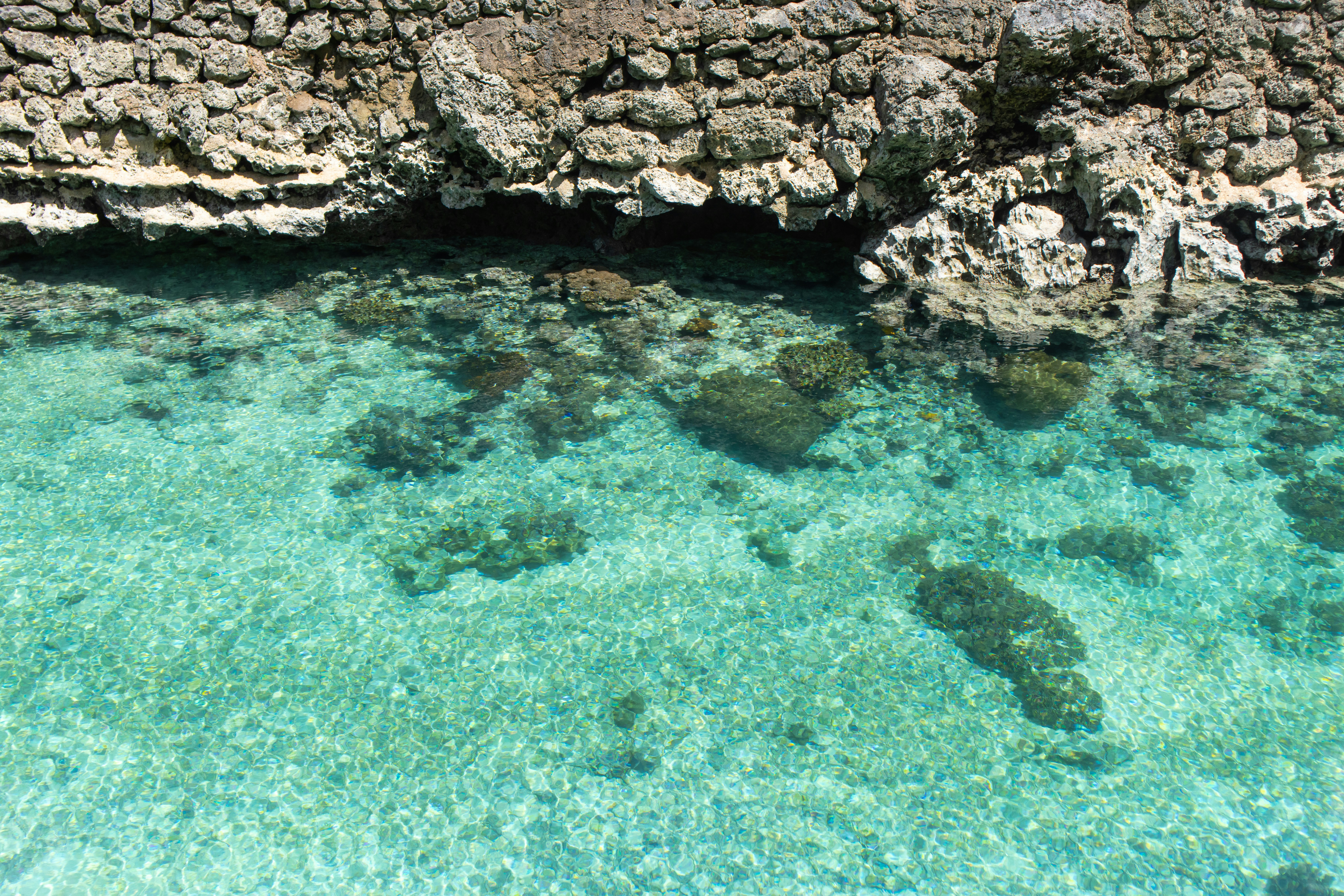 Photo by seoul_lover_lily