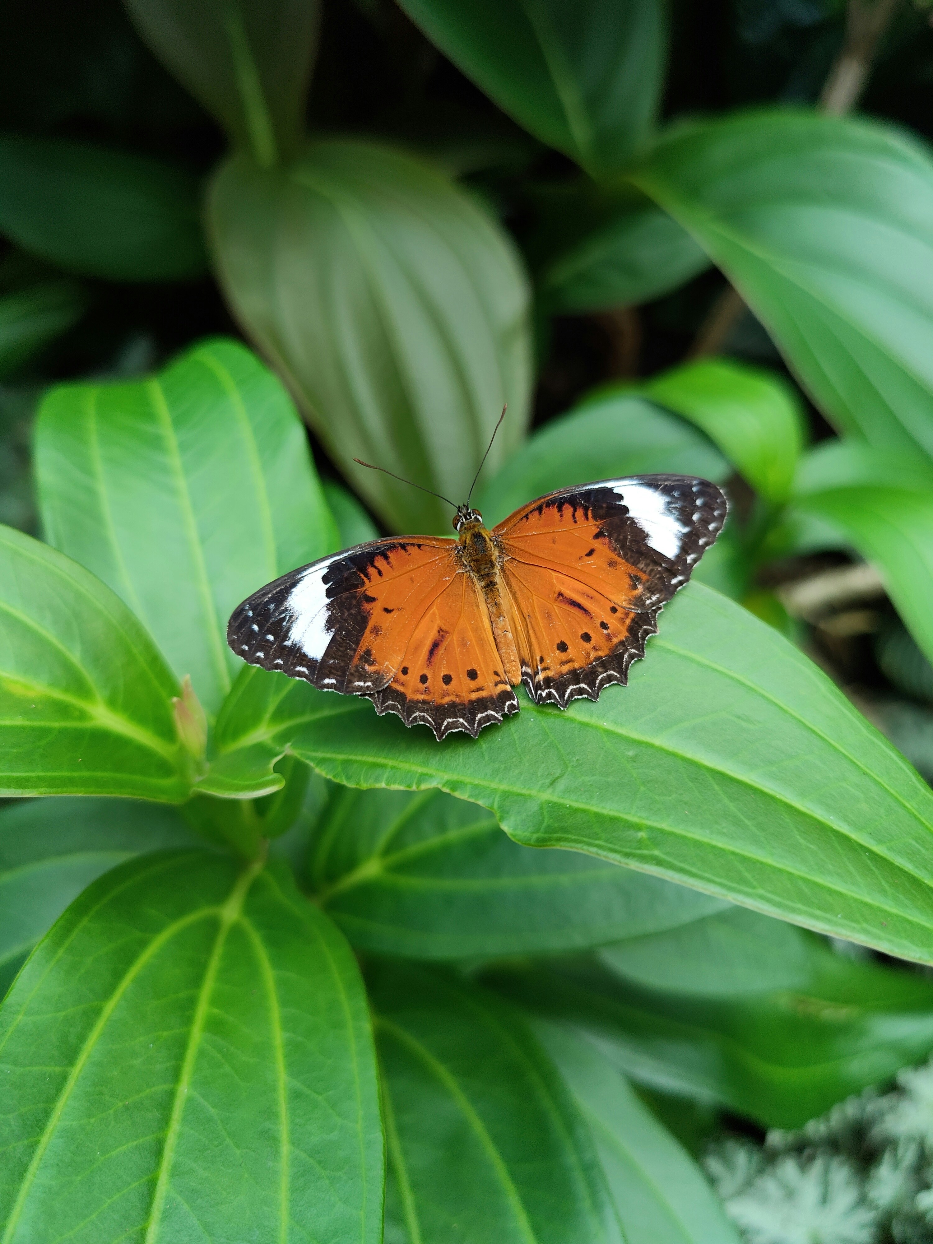 Photo by castingspells91_