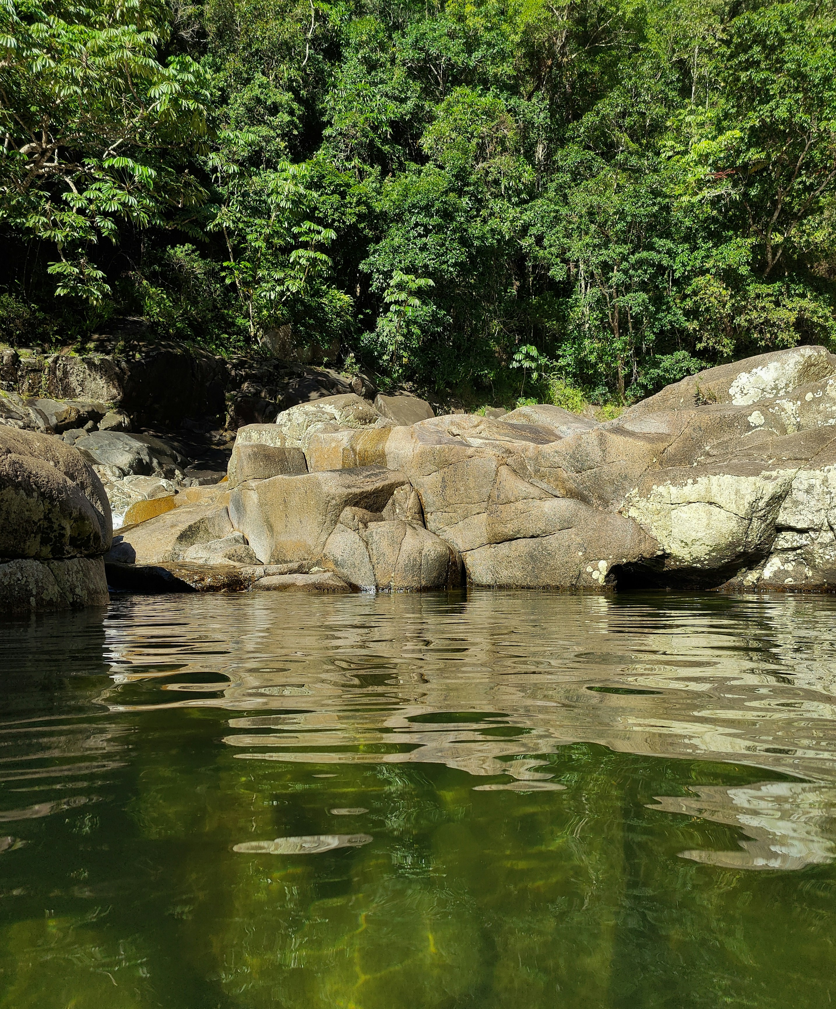 a body of water surrounded by rocks and trees