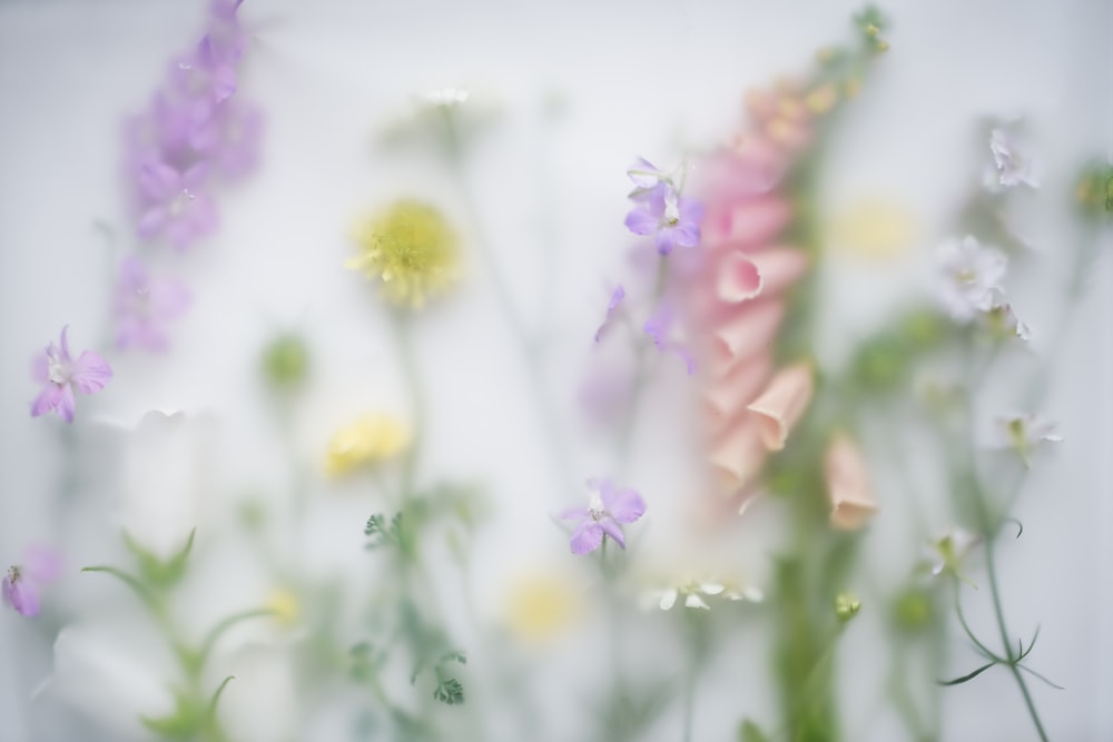 a bunch of flowers that are in a vase