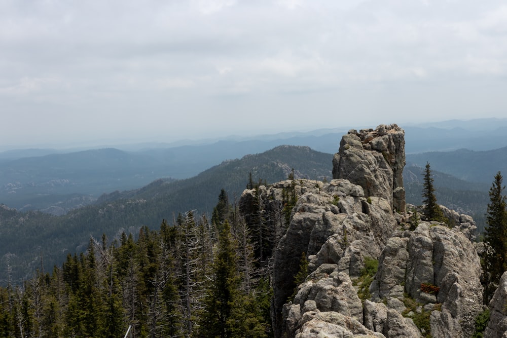 a rocky outcropping with trees and mountains in the background