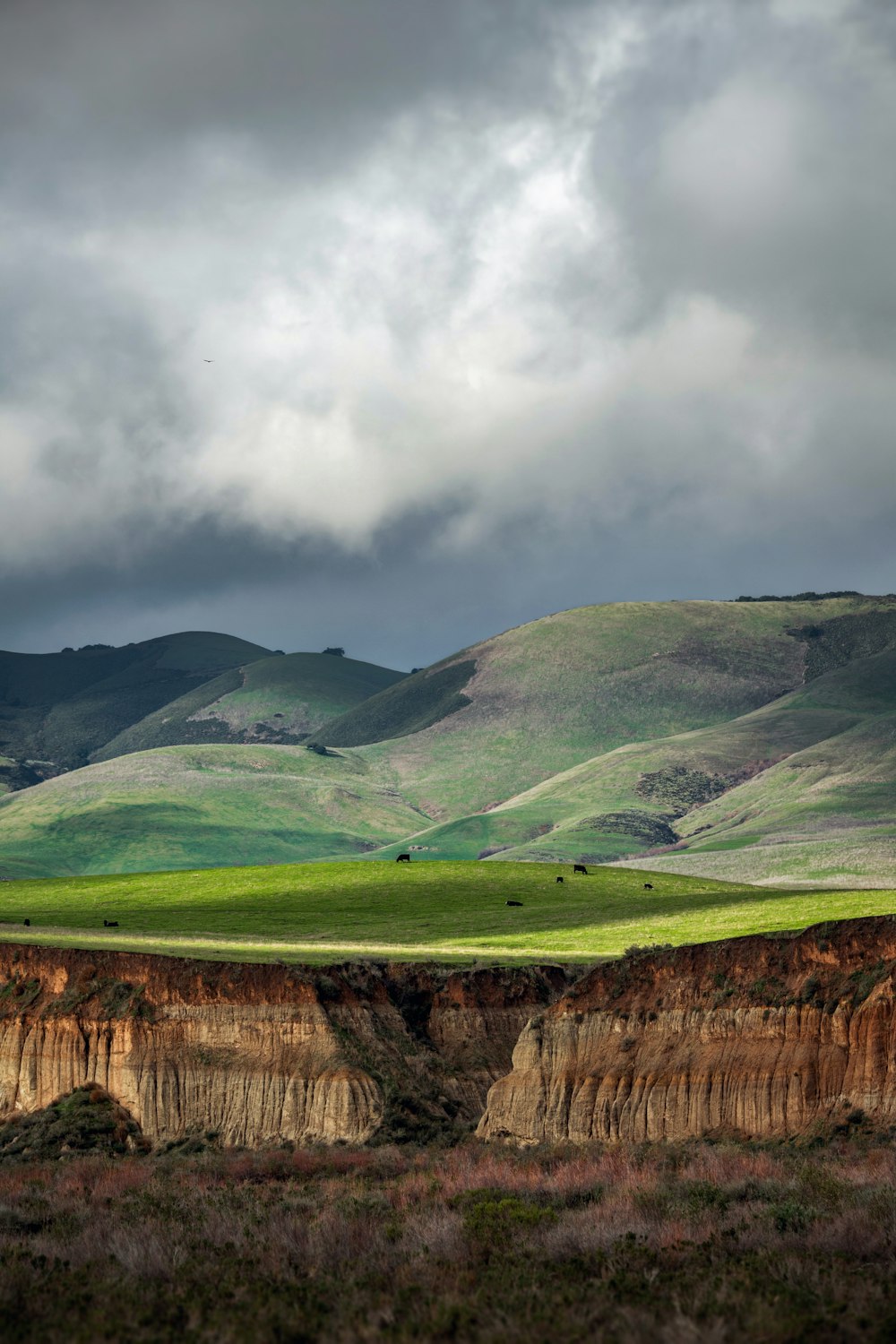 a green field with mountains in the background