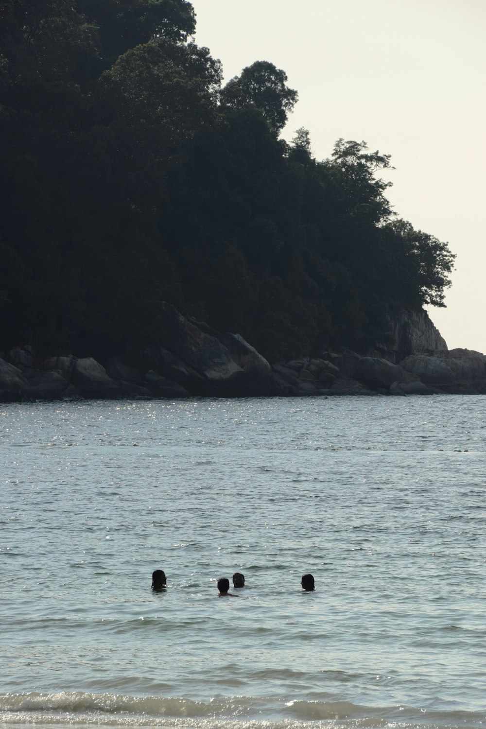 a group of people swimming in a body of water