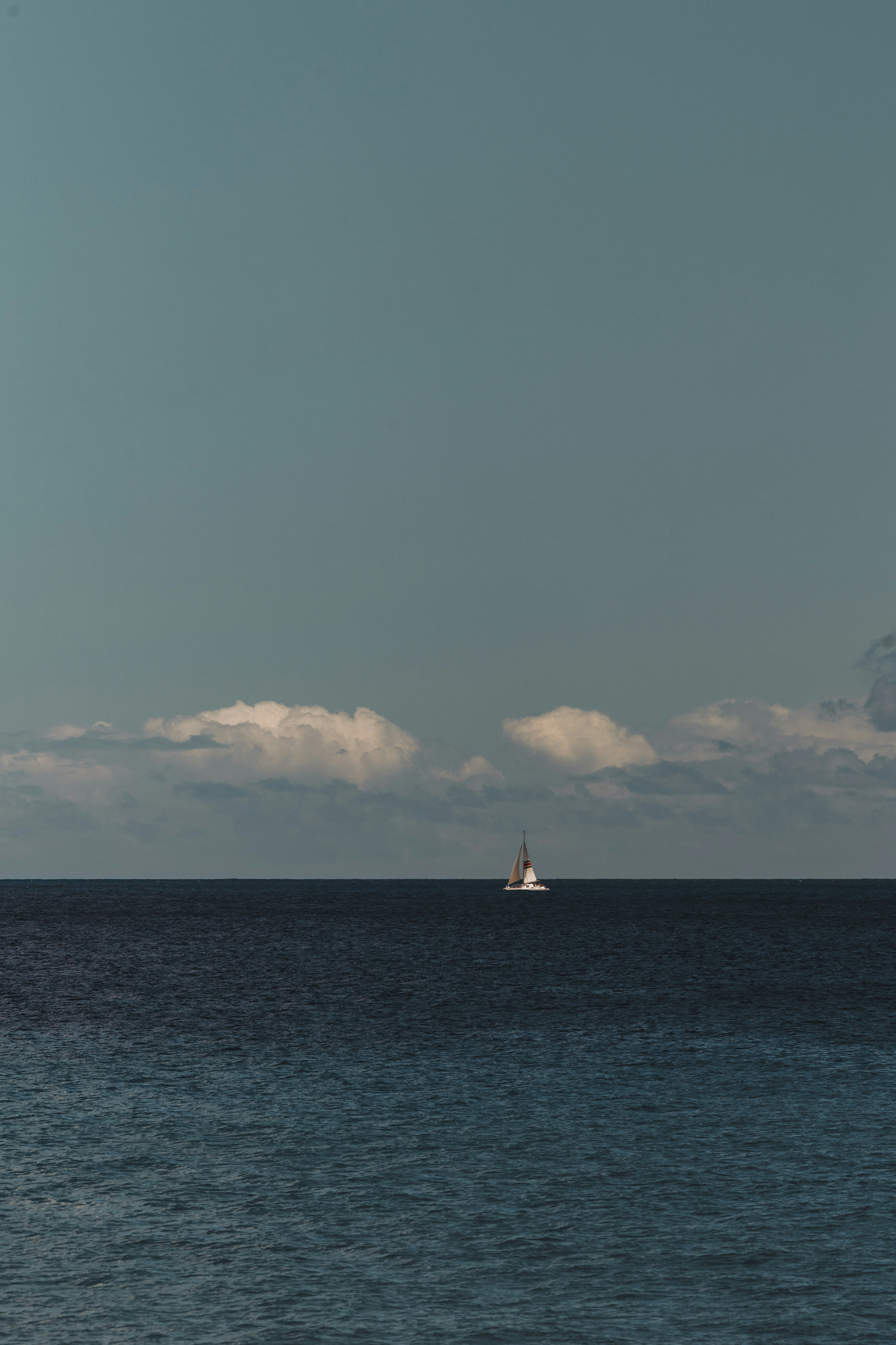 Photo by chlehr