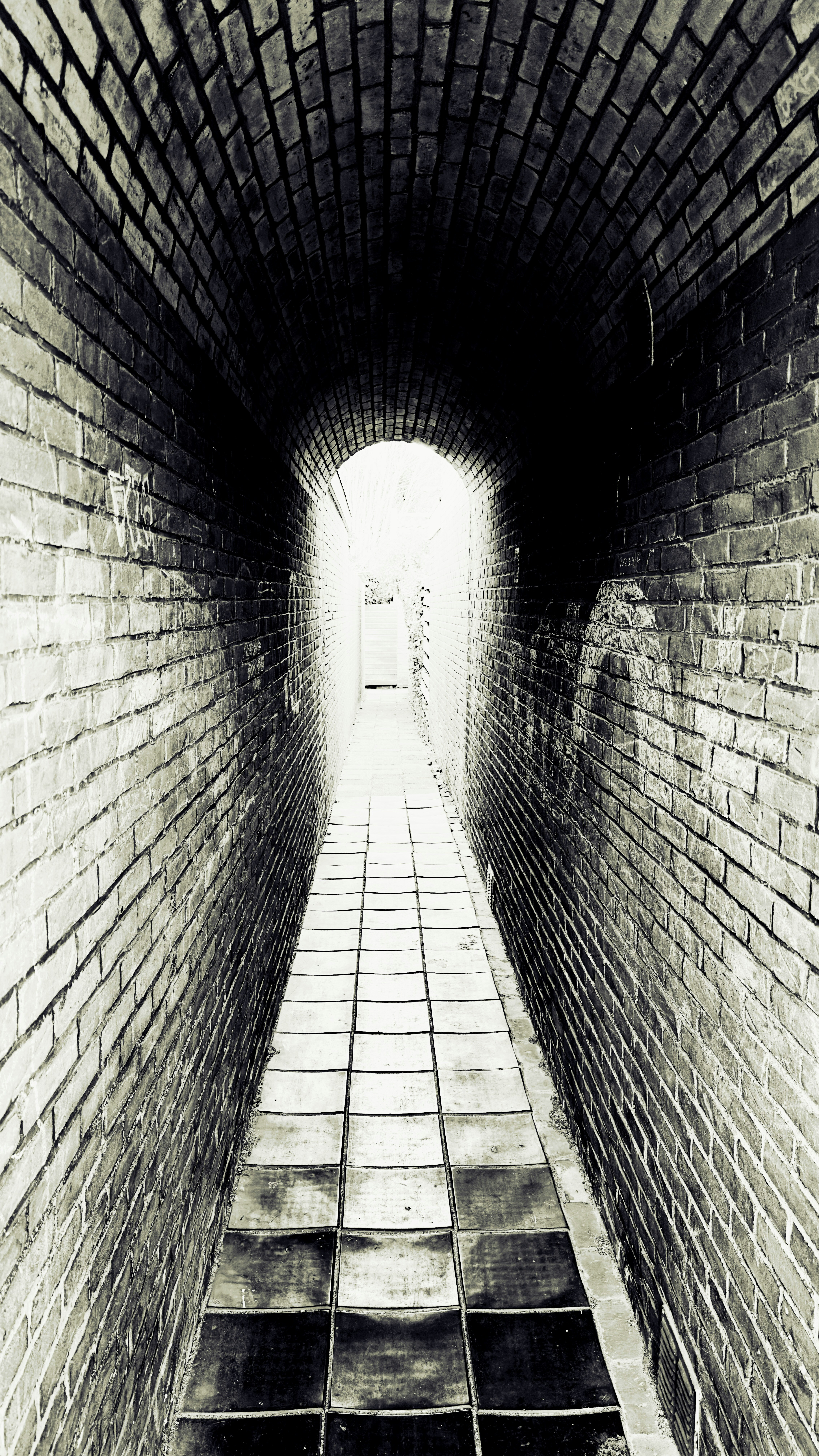 Photo by david_underland