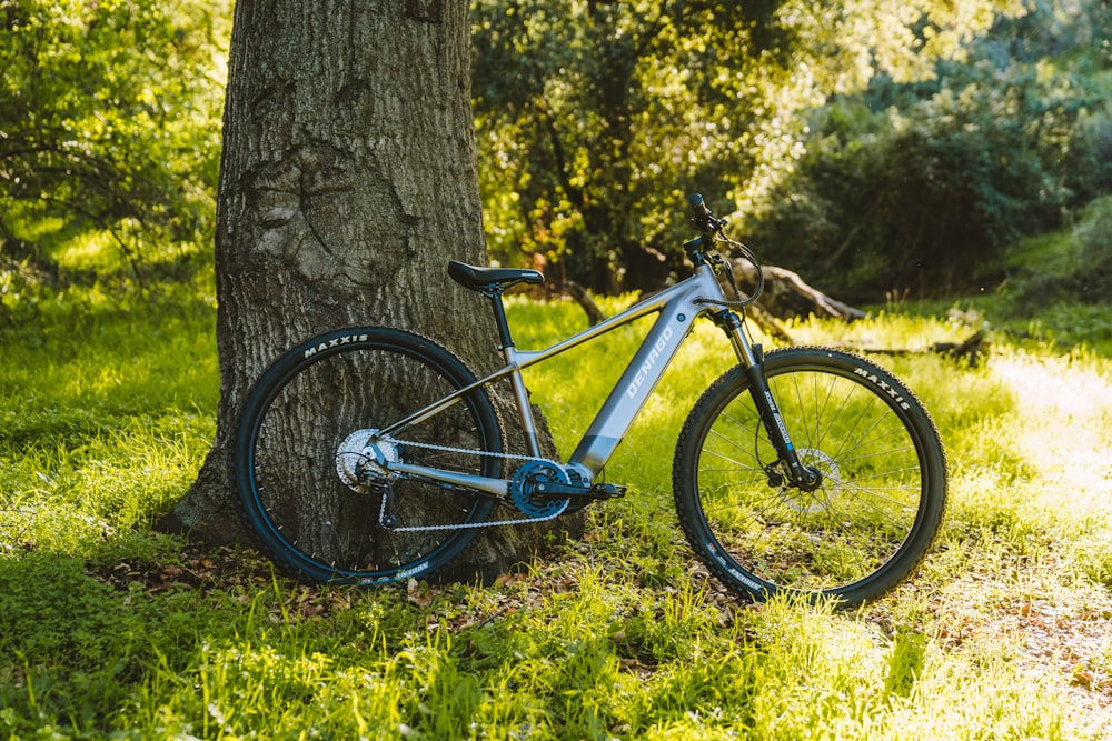 a bike leaning against a tree in the grass