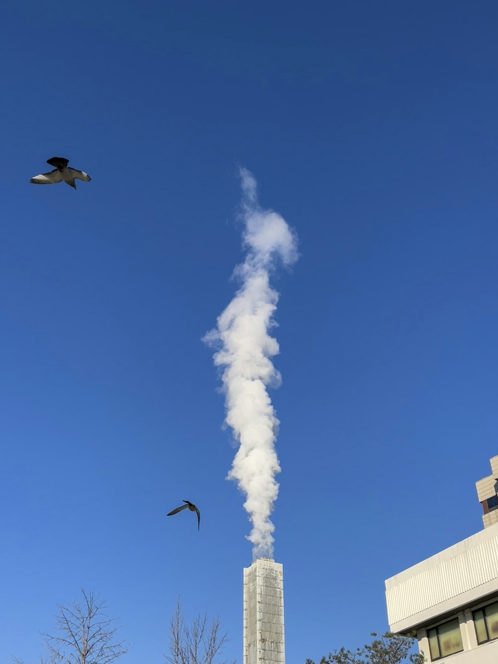 a smokestack emits from the top of a tall building