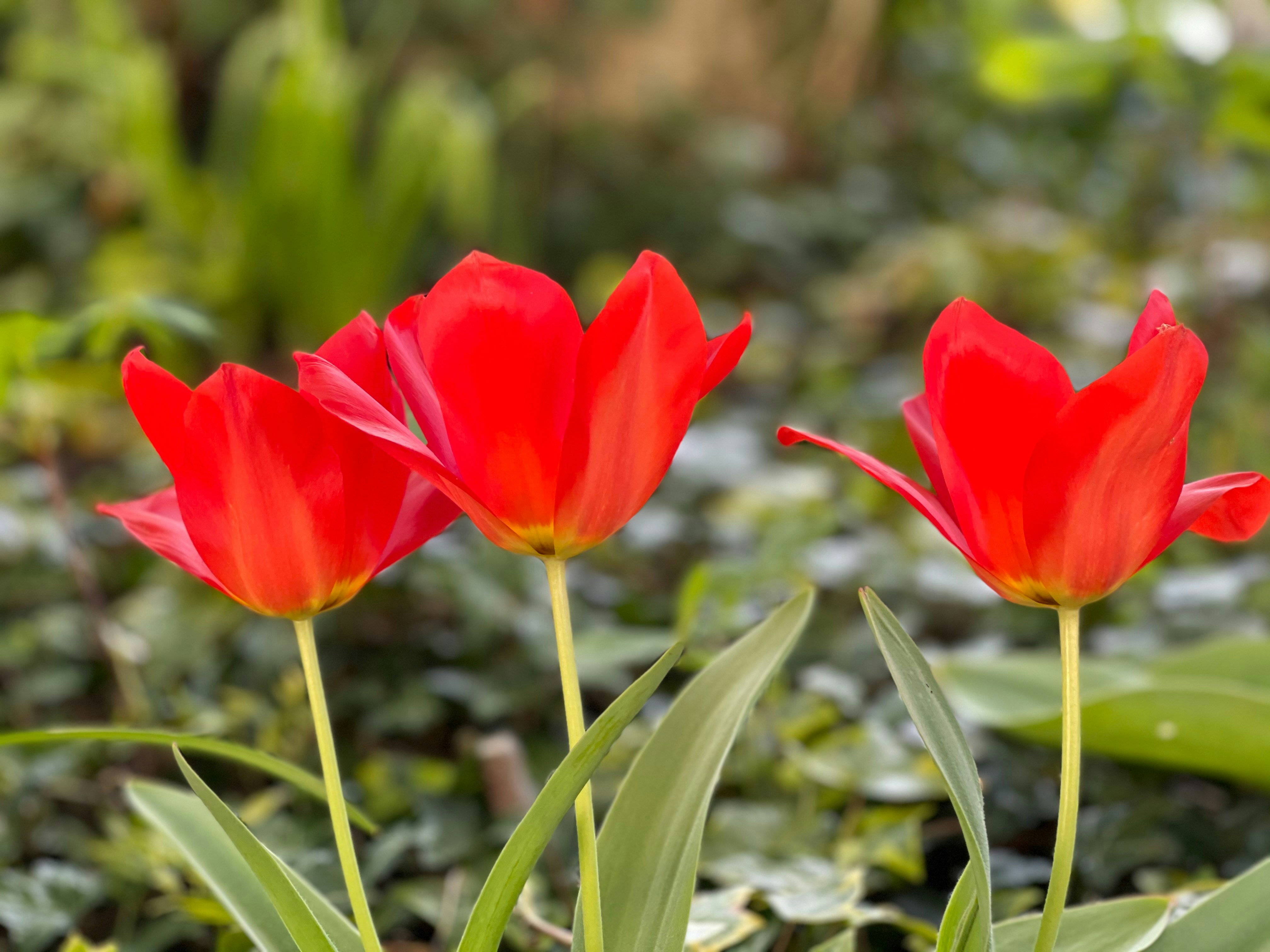 Photo by melchizedeck