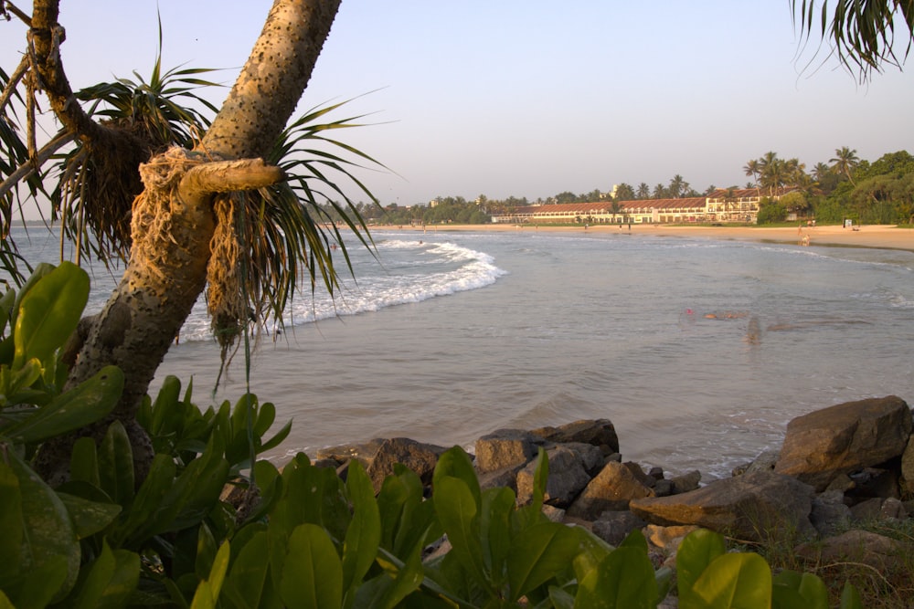 a view of a beach with people swimming in the water