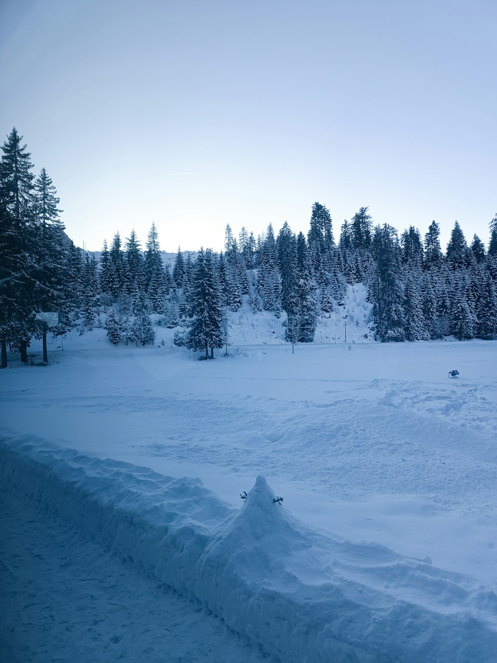 a snow covered field with trees in the background