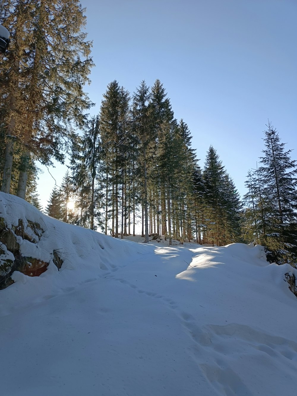 a snow covered path in the middle of a forest