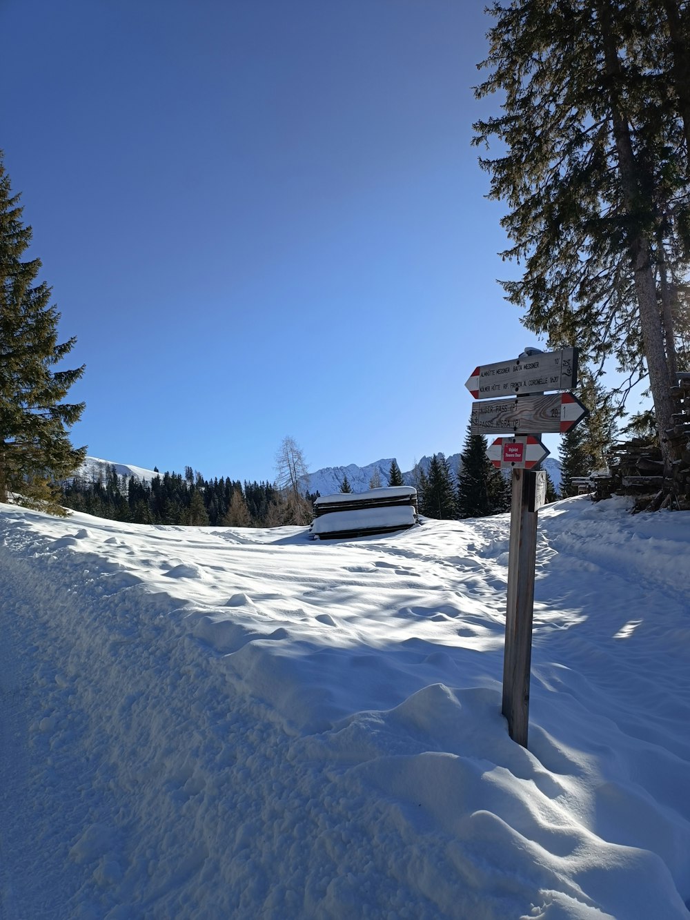 a snow covered field with trees and a sign