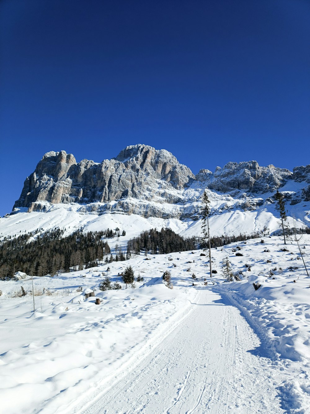 a person riding skis on a snowy surface