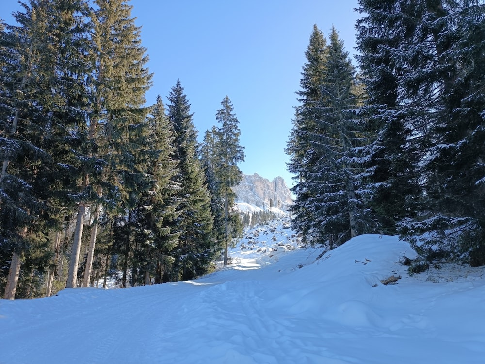 a person riding skis down a snow covered slope