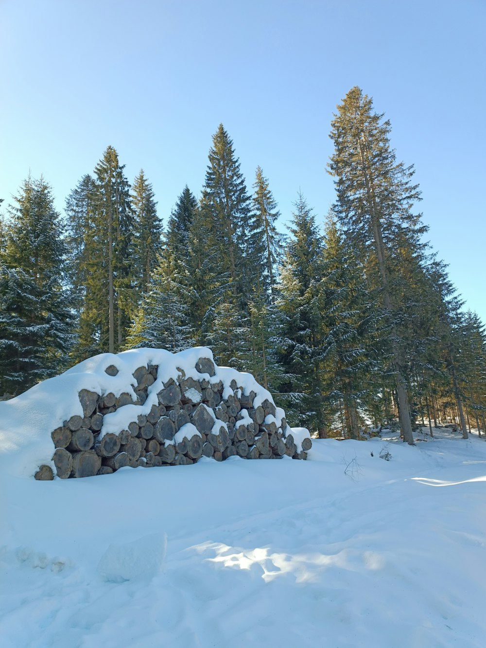a pile of logs sitting in the middle of a snow covered forest