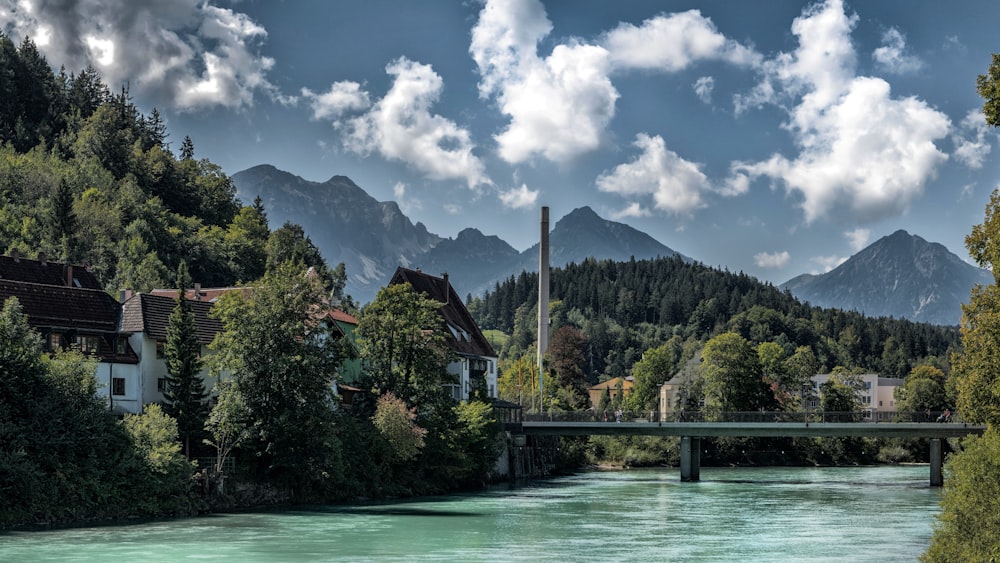 un fiume che scorre attraverso una foresta verde e lussureggiante