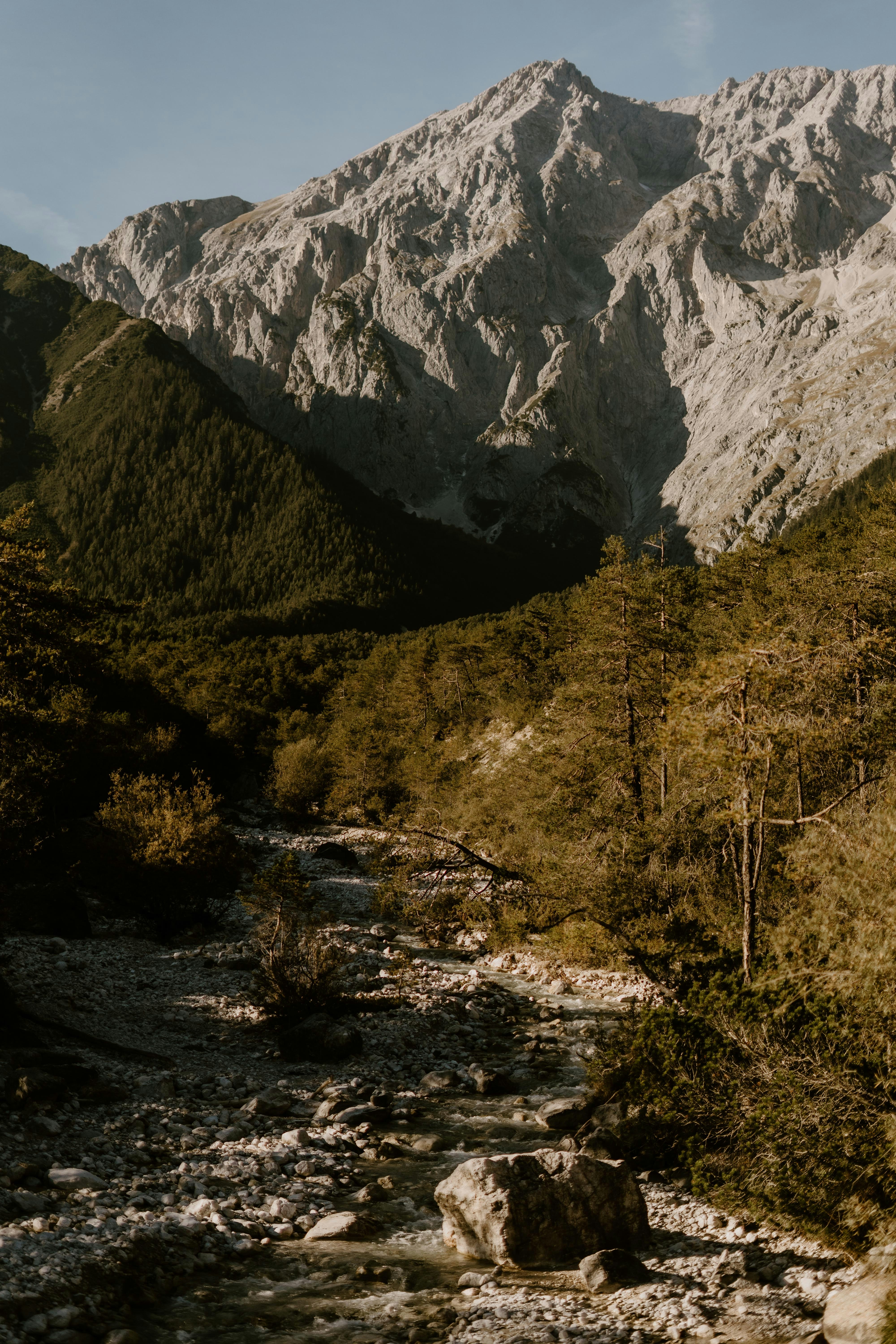 Photo by lenakestler