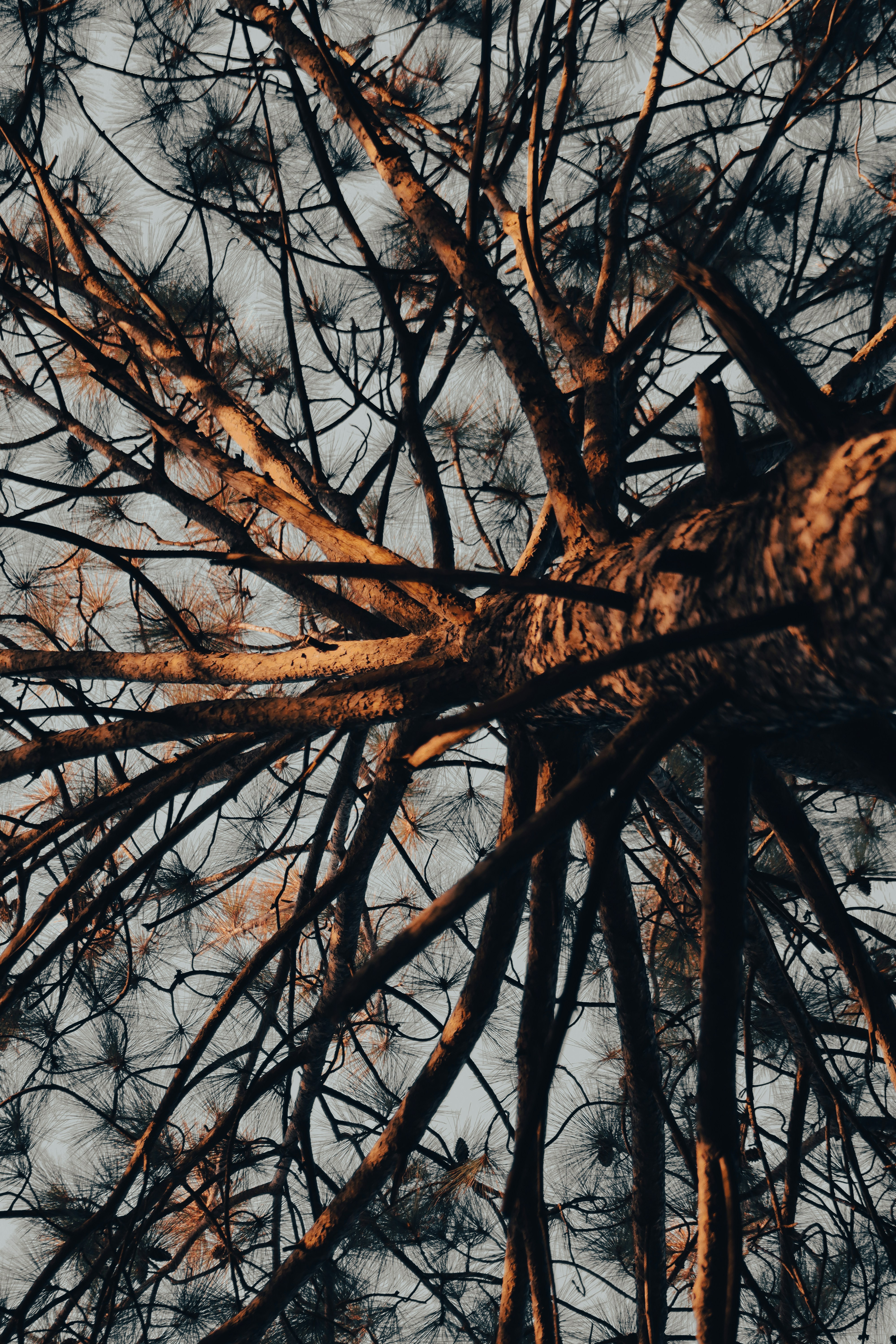 Photo by alihamzatullah