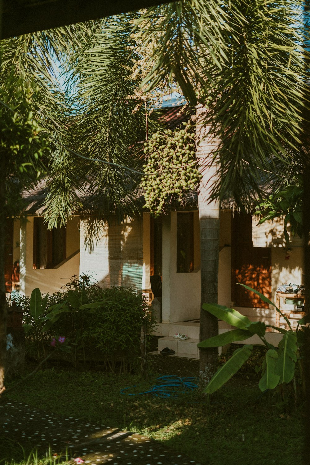 a house with a tree in front of it