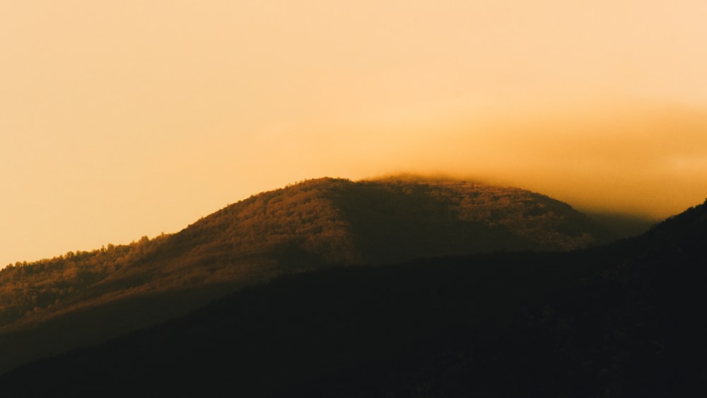 the silhouette of a mountain with a bird flying over it
