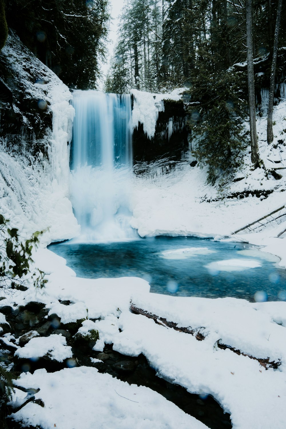 Una cascata ghiacciata in mezzo a una foresta