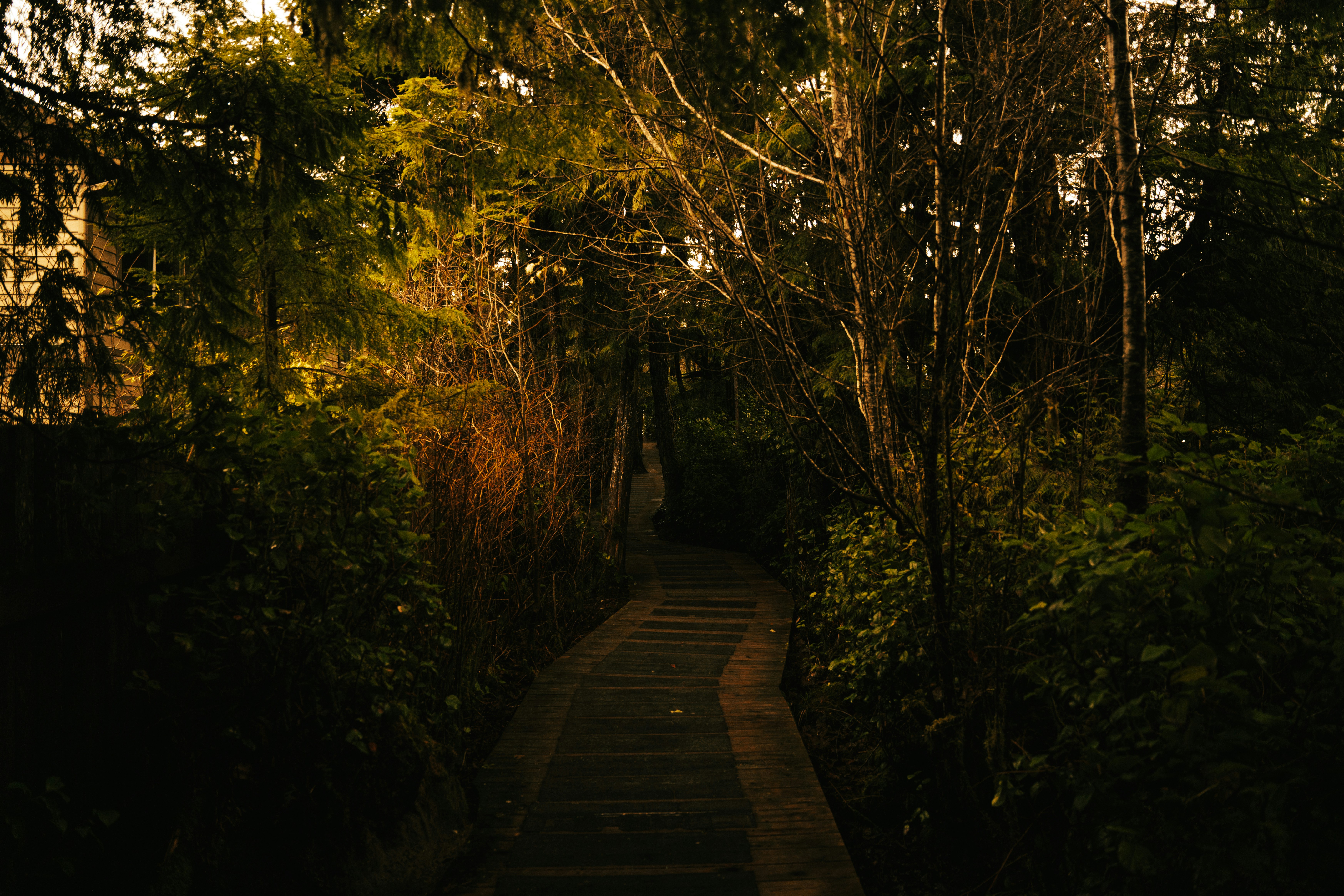 Photo by bylukemiller