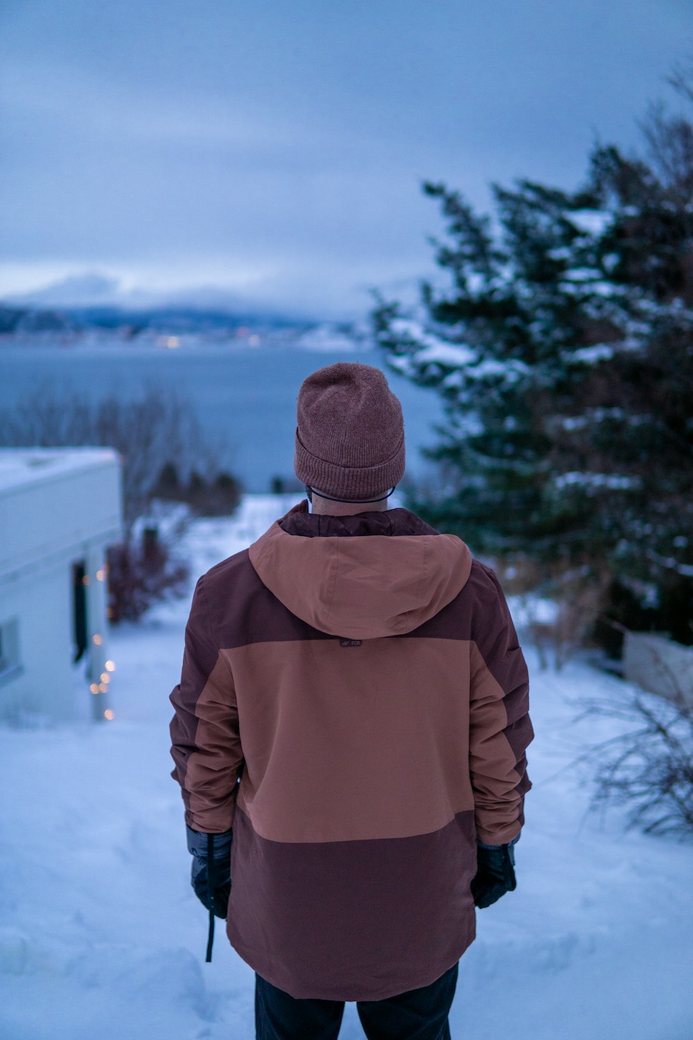 a person standing in the snow looking at the water