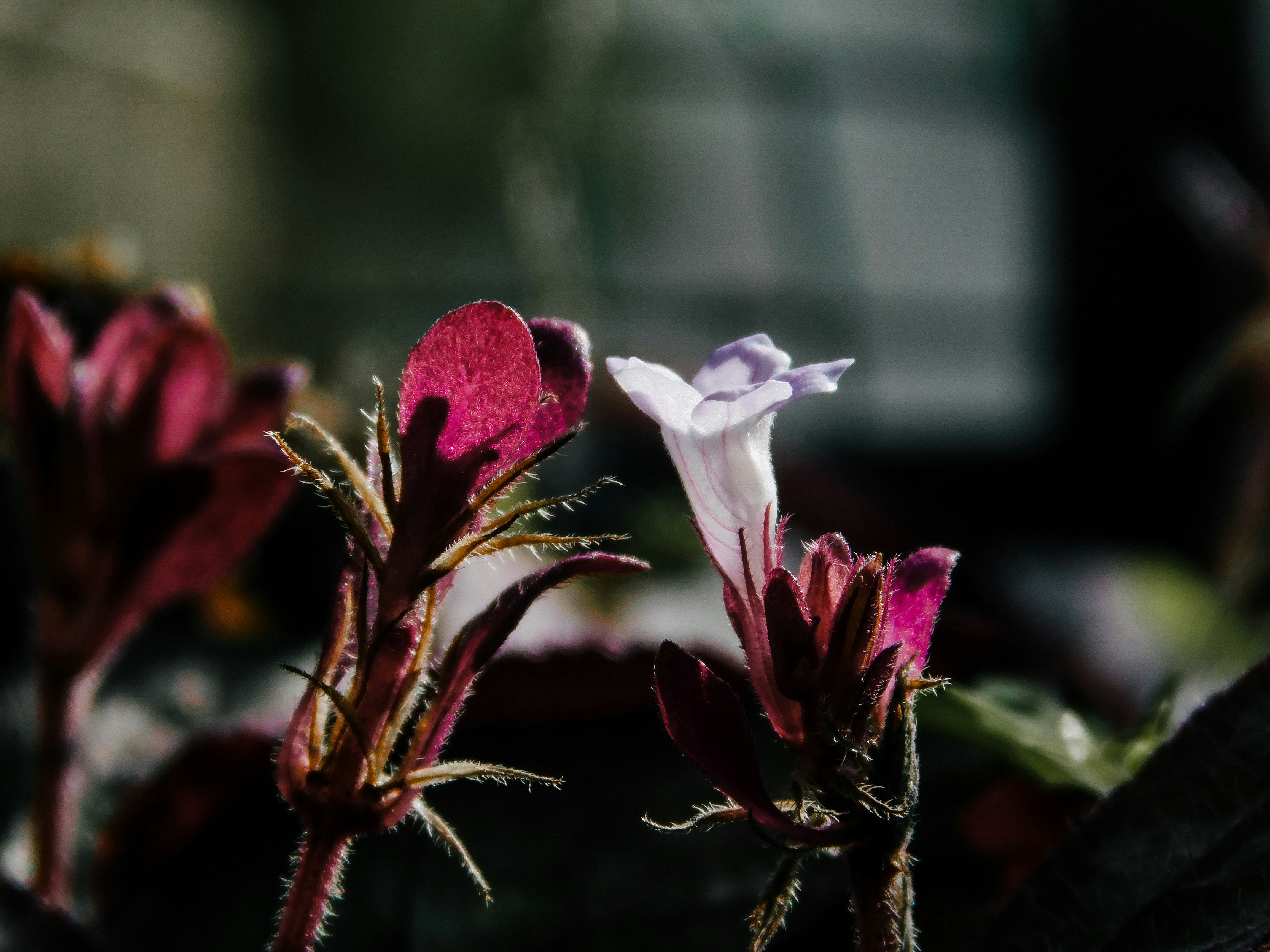 Photo by true_reflection_s