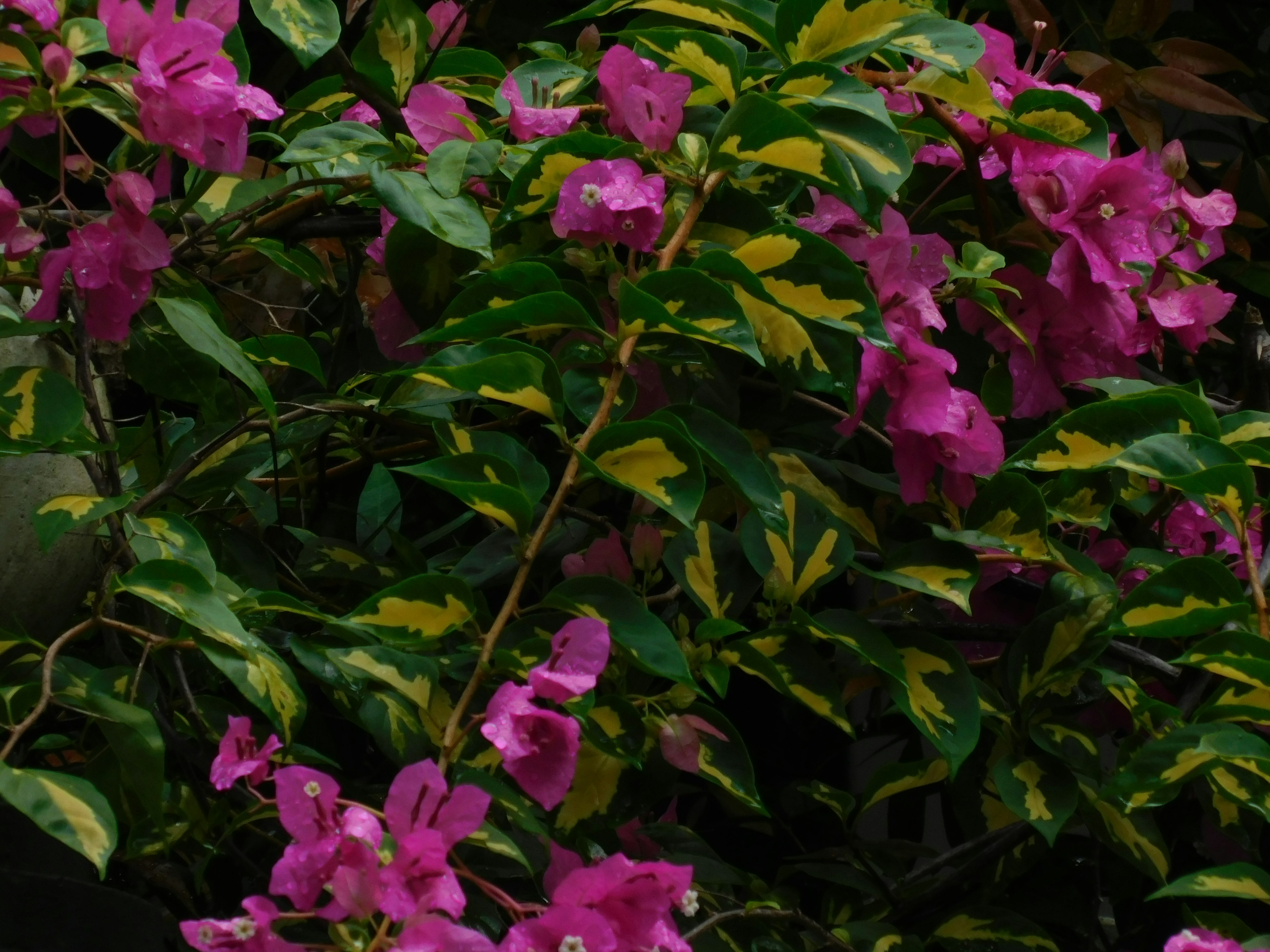 Galeri fotoğrafı - undefined