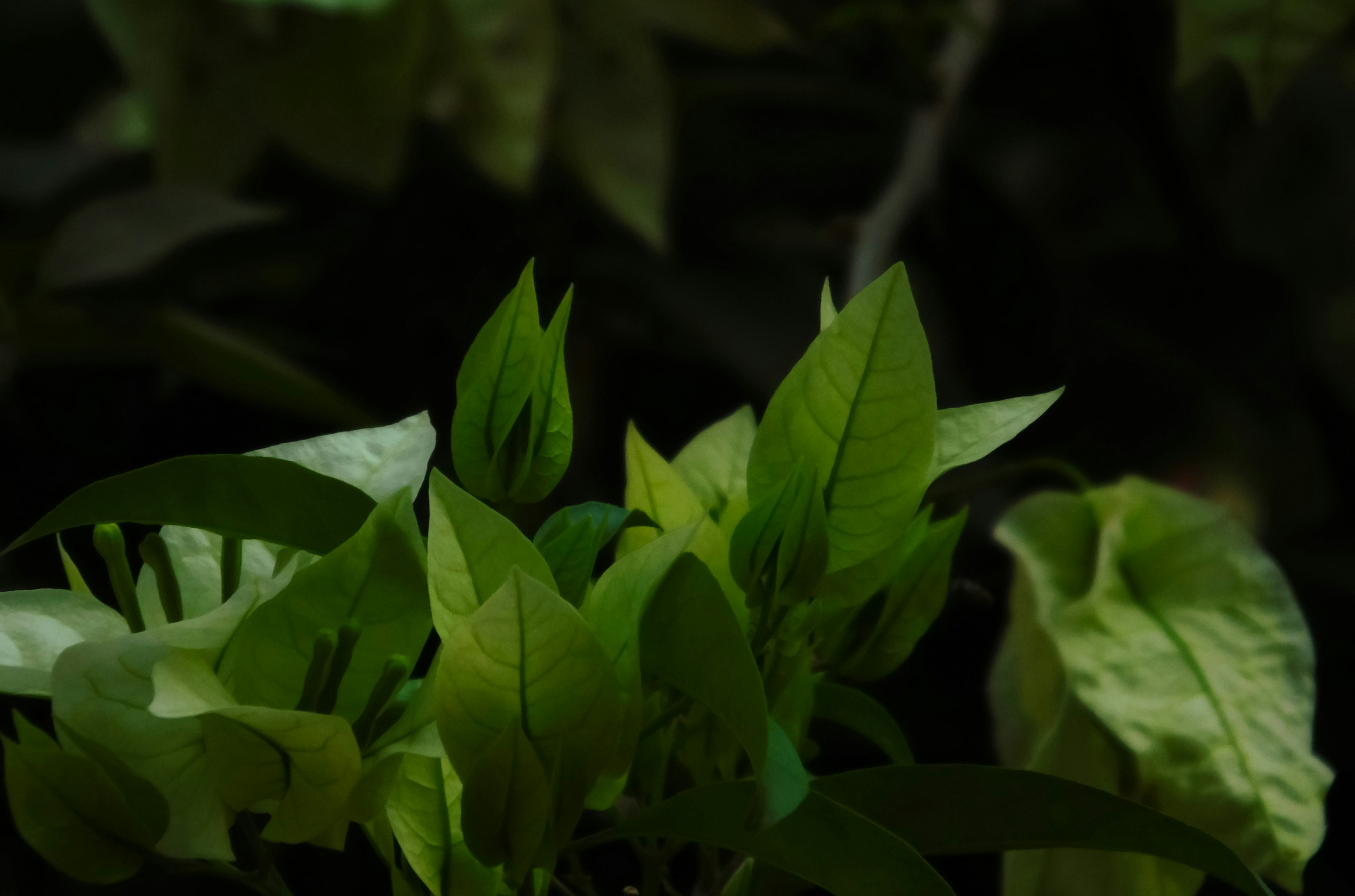 Photo by true_reflection_s