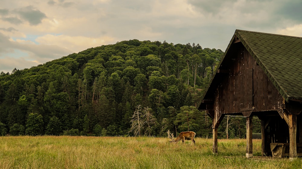 a barn in a field with a mountain in the background