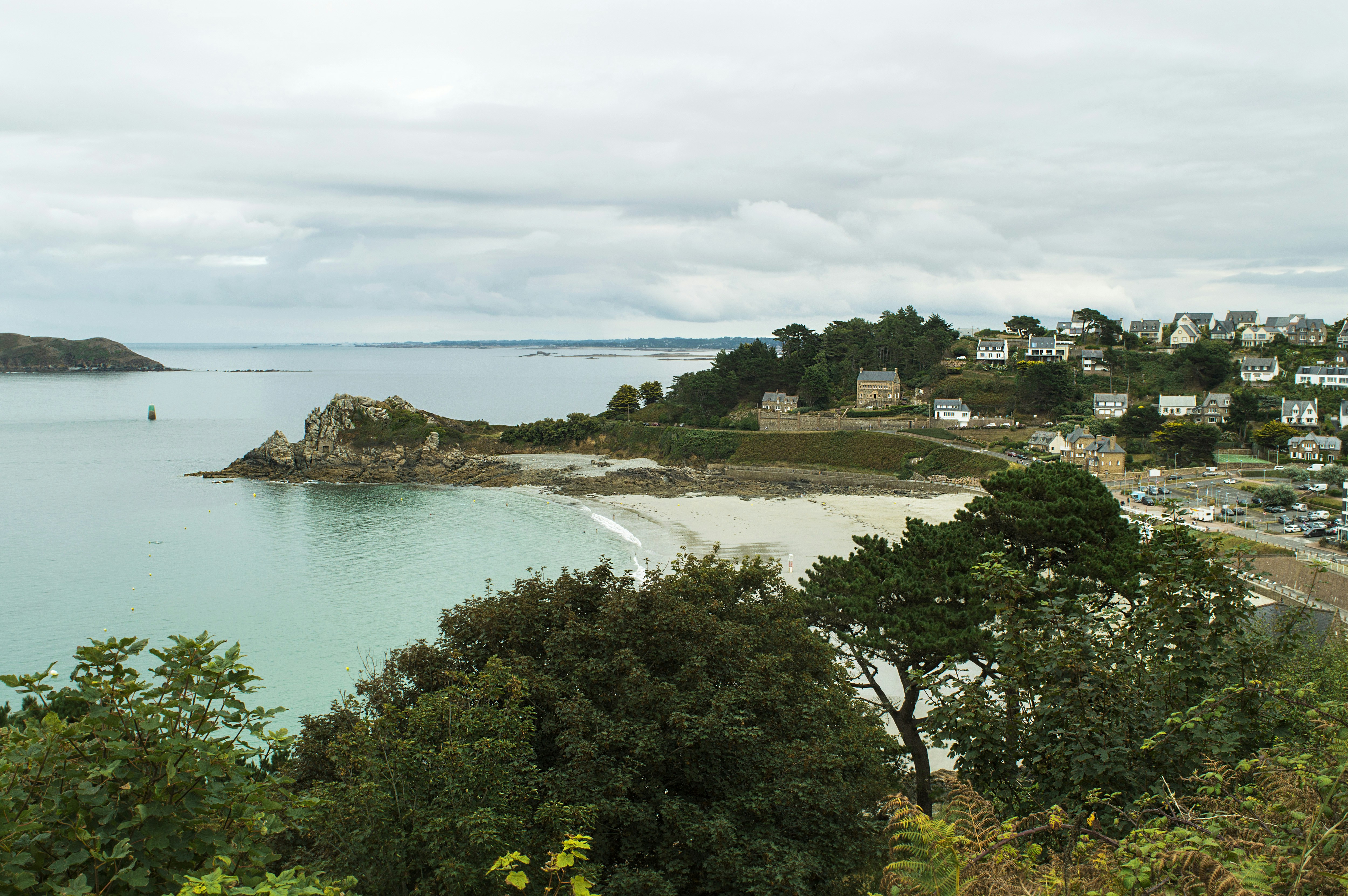 photo-1706270620245-d5561bb2493e?ixid=M3wxMjA3fDB8MXxzZWFyY2h8MTMzfHx0cnVmYXMlMjBwZXJyb3N8ZW58MHx8fHwxNzI3ODgwODA1fDA%5Cu0026ixlib=rb-4.0.3