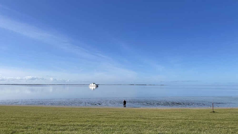 a person standing in the grass near a body of water