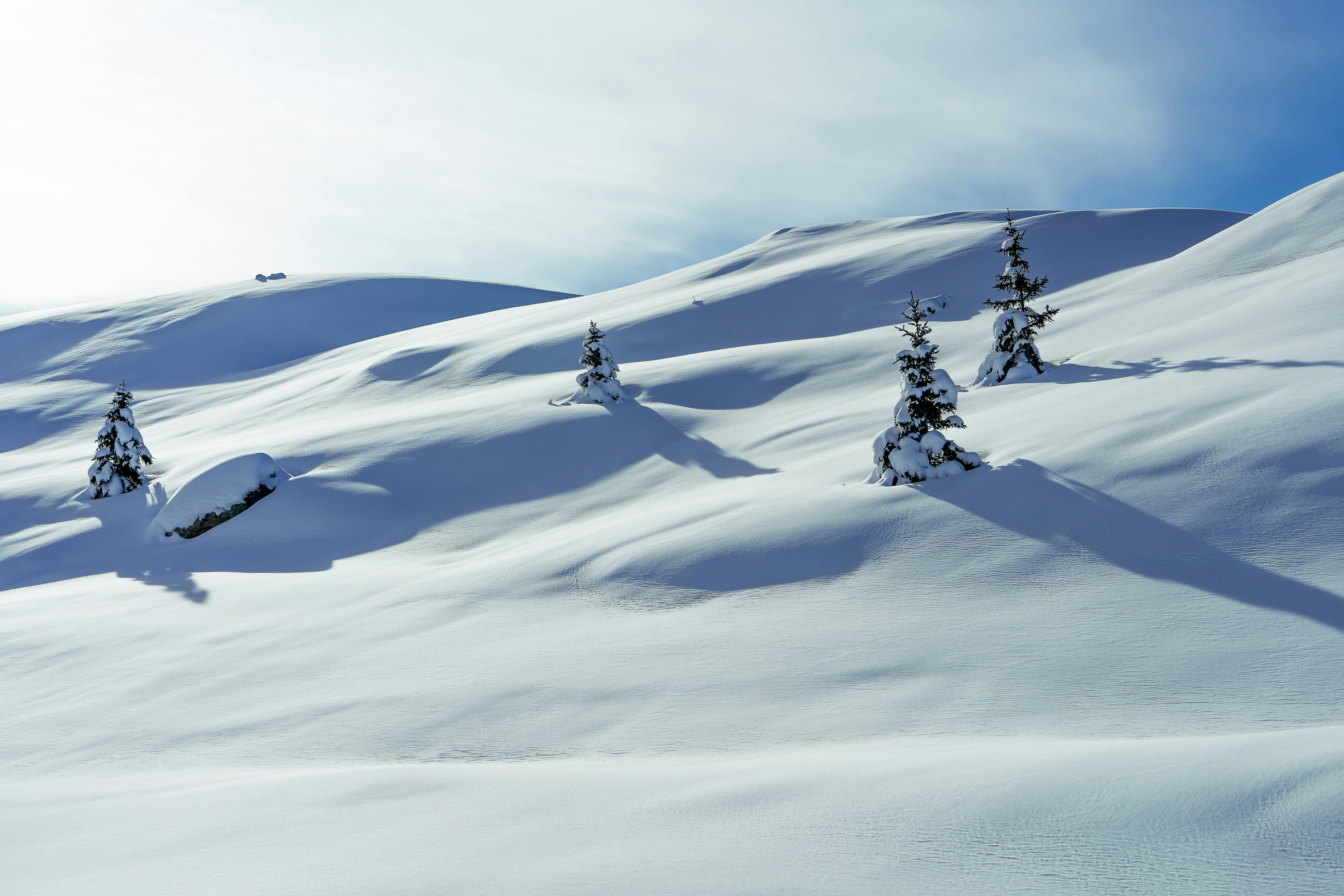 Photo by mylenehaudebourg14