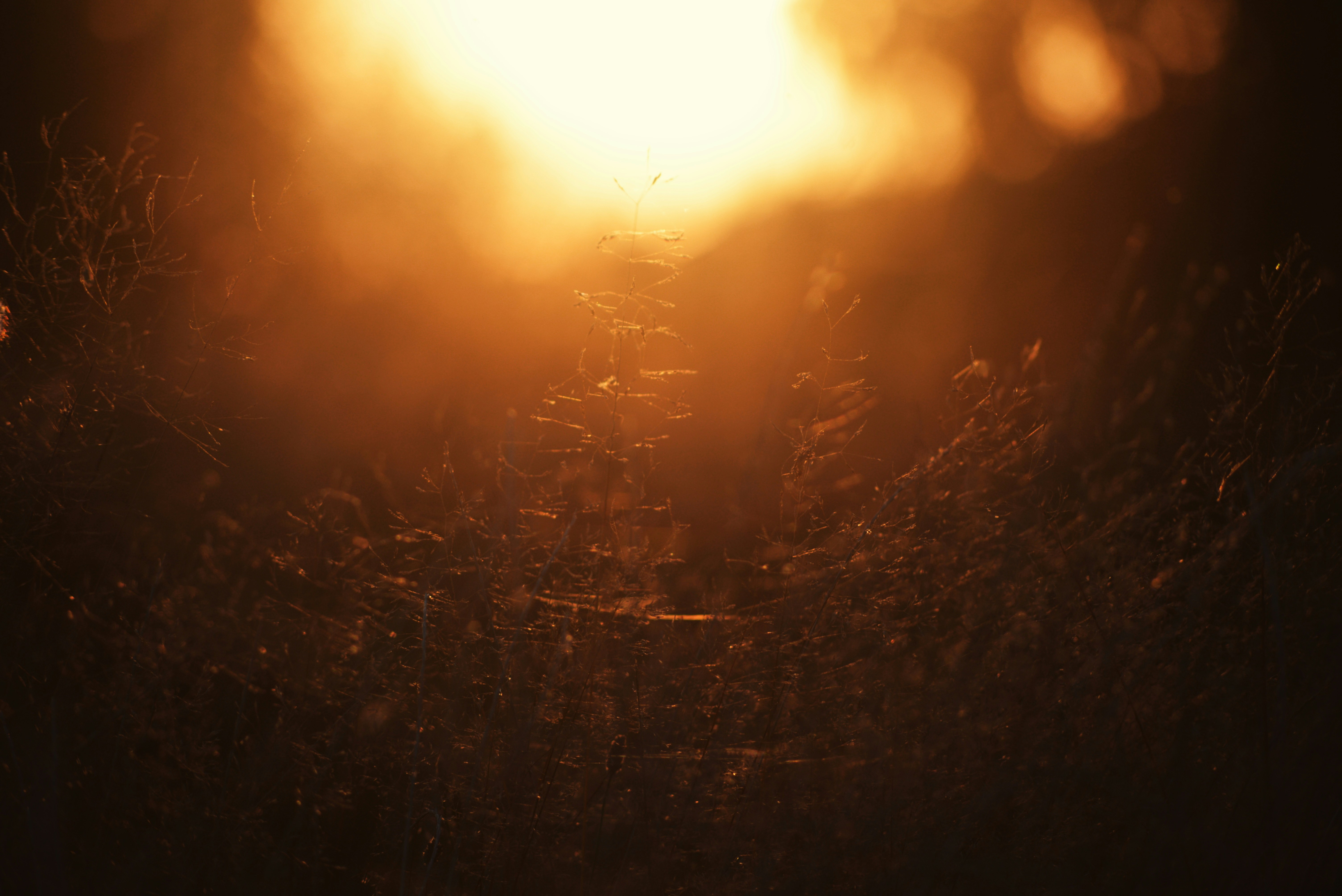 Photo by cherstve_pechivo