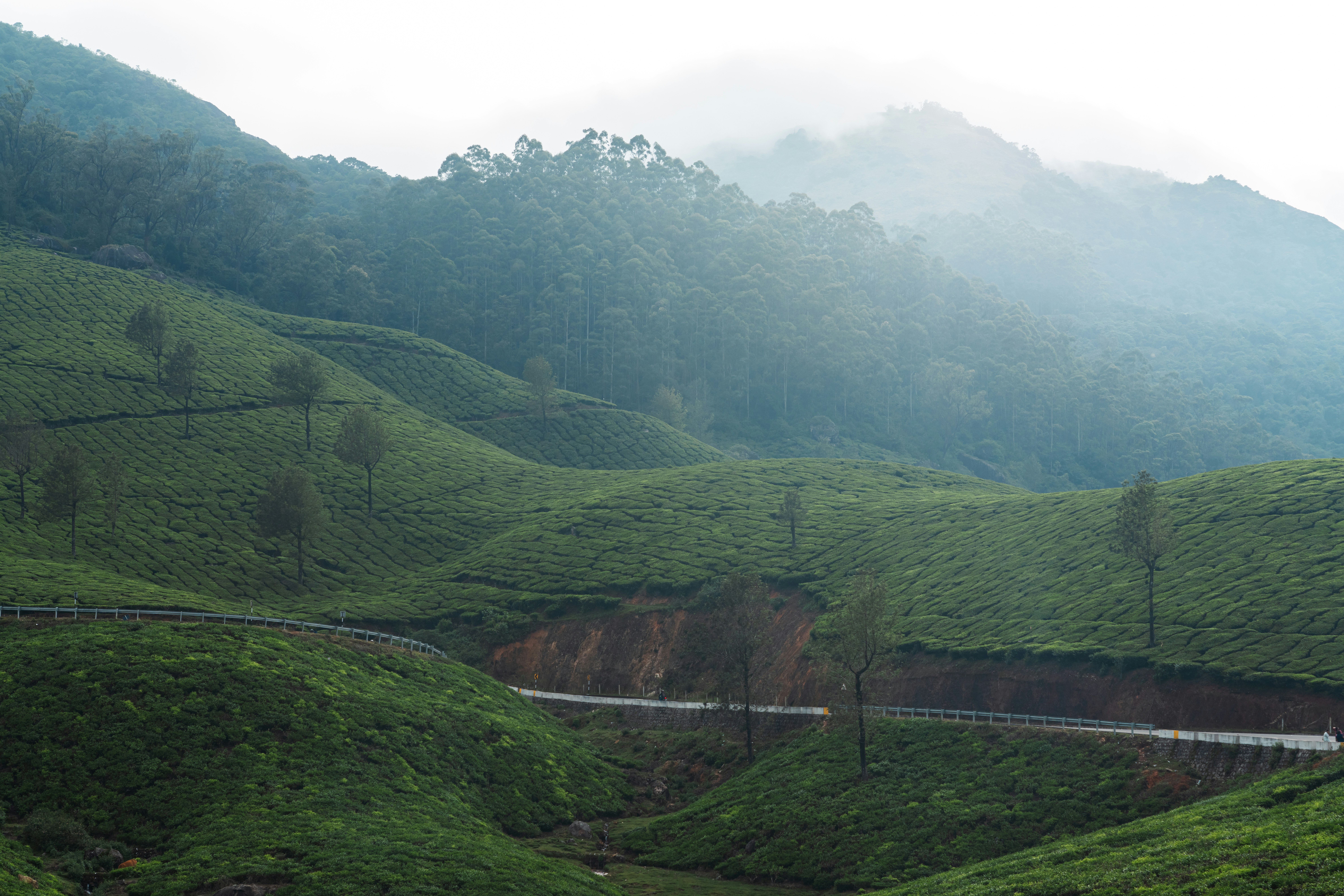 Photo by meemoome_productions