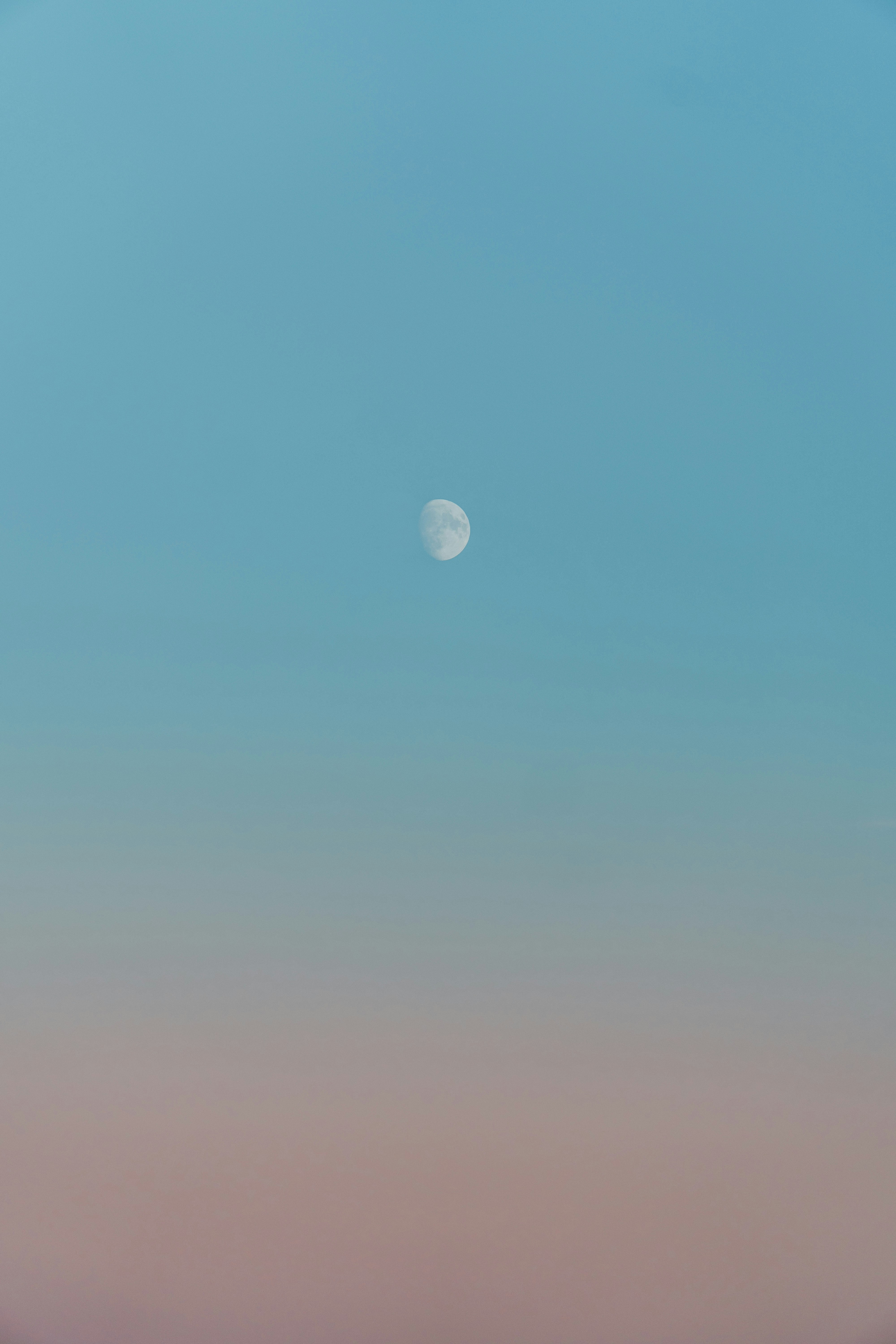 Photo by luisgherasim