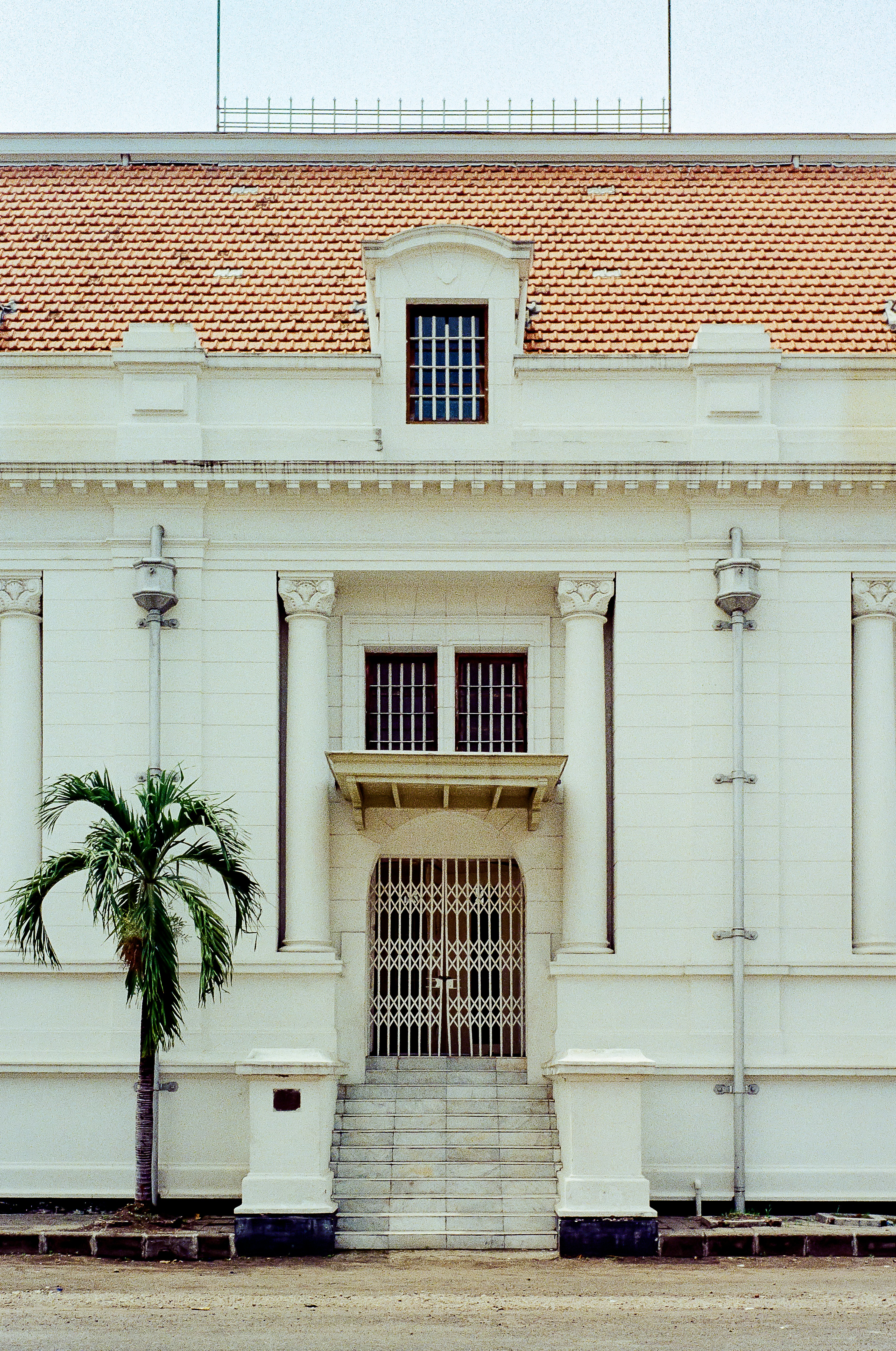 a large white building with a palm tree in front of it
