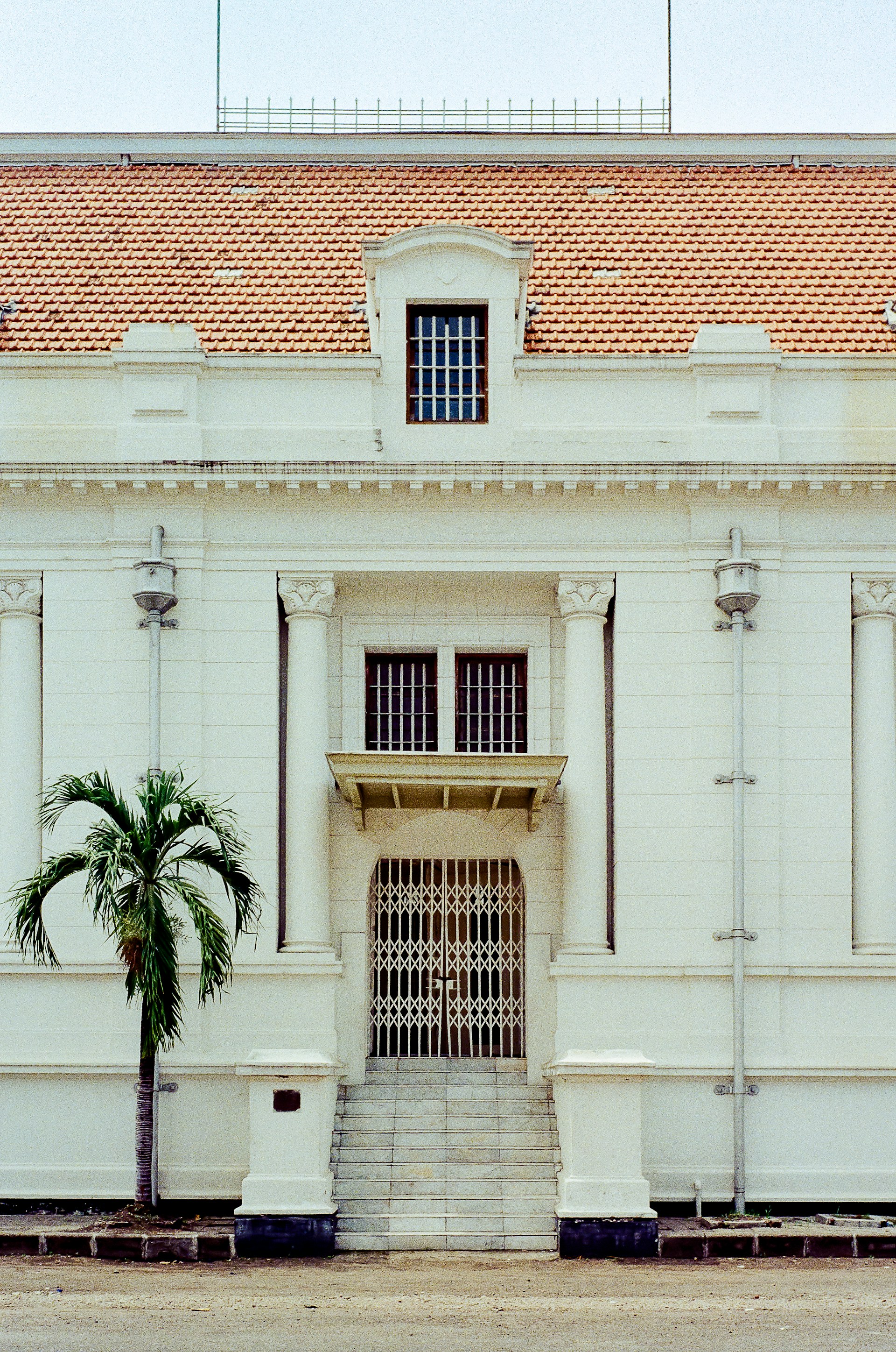 a large white building with a palm tree in front of it
