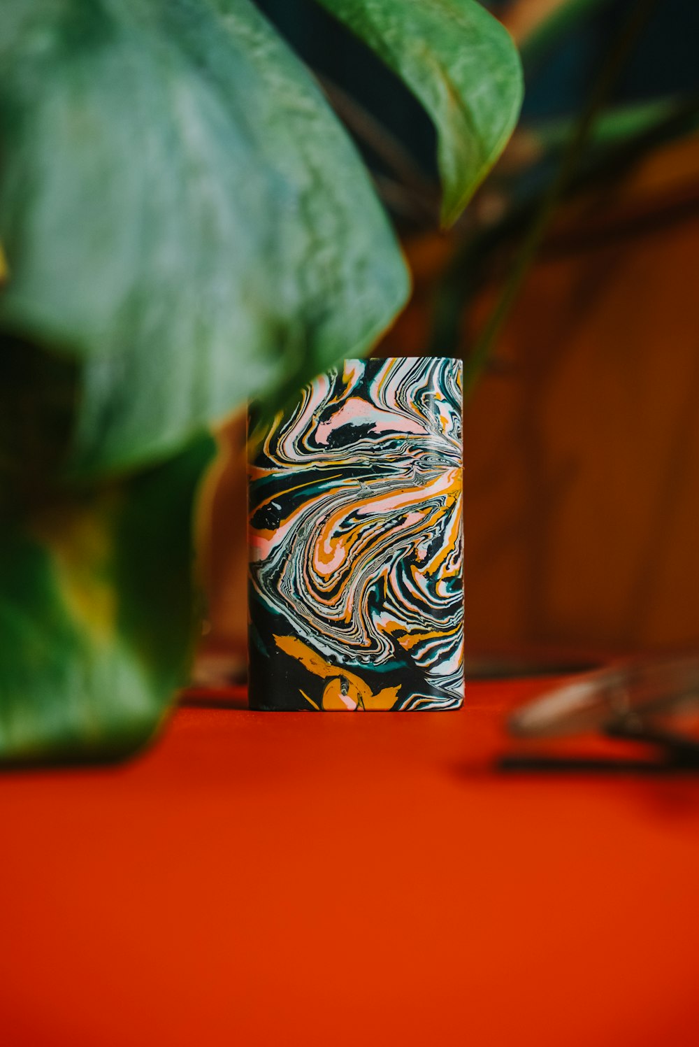 a close up of a plant on a table