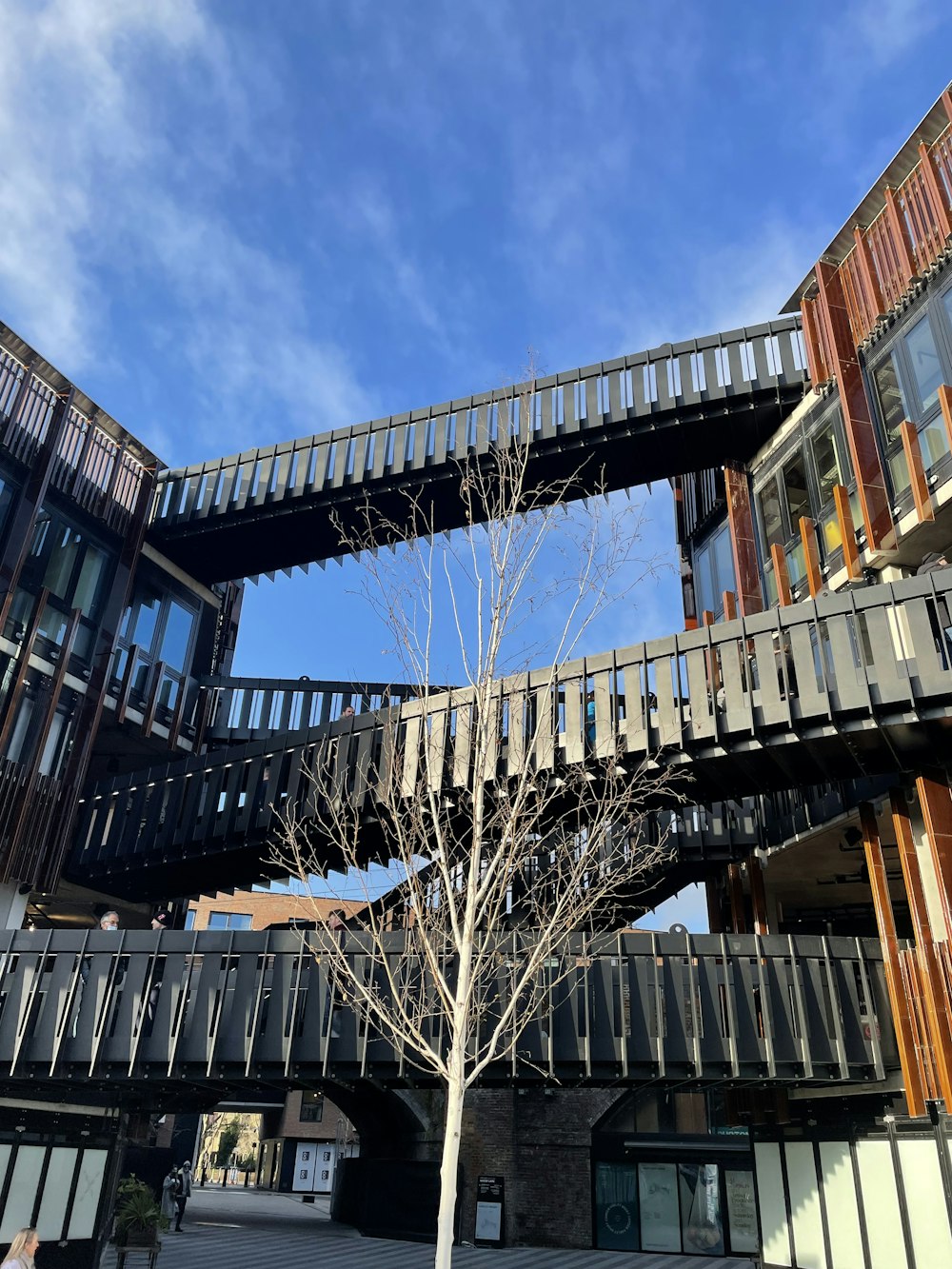 a tree in the middle of a courtyard