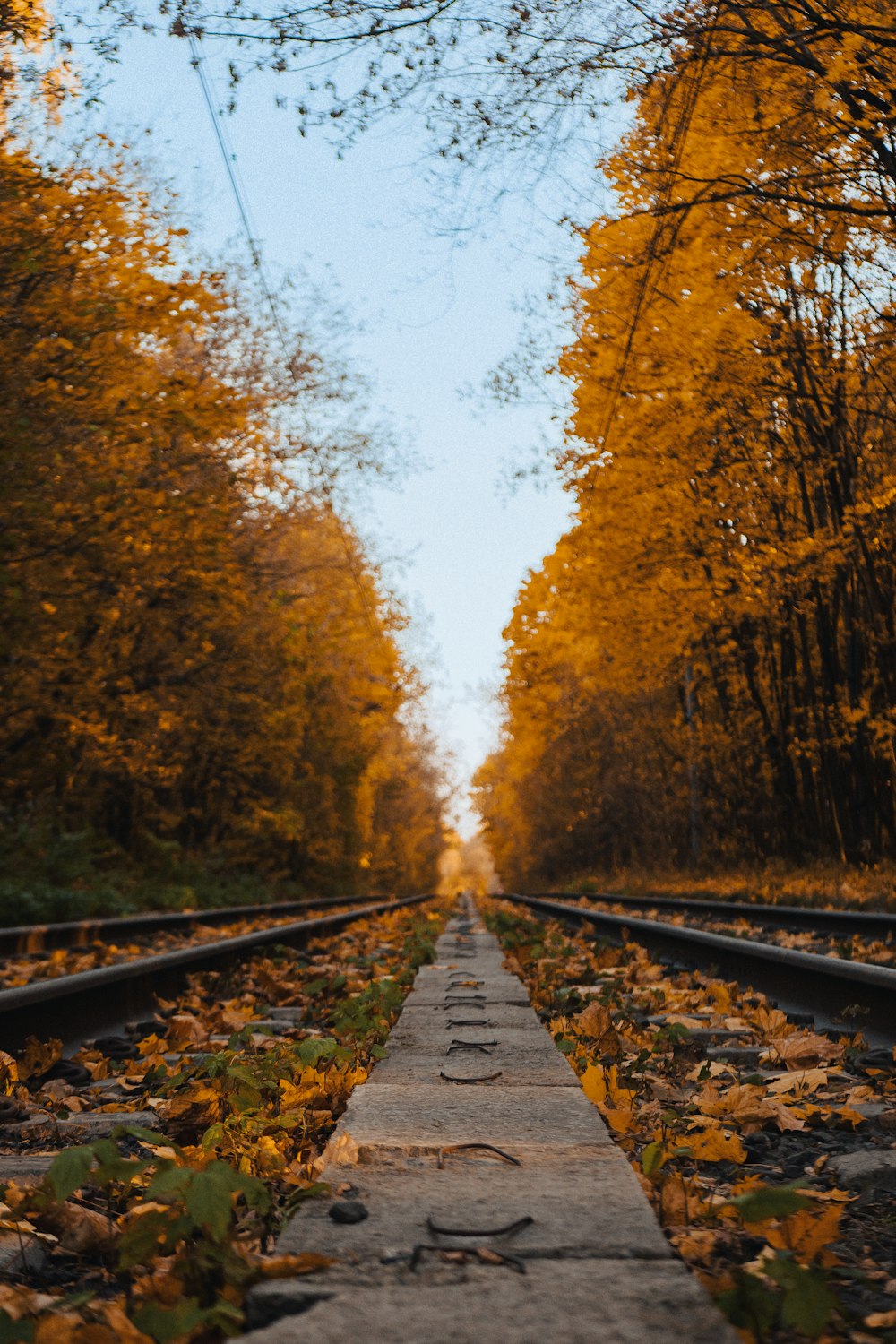 a train track with leaves on the ground